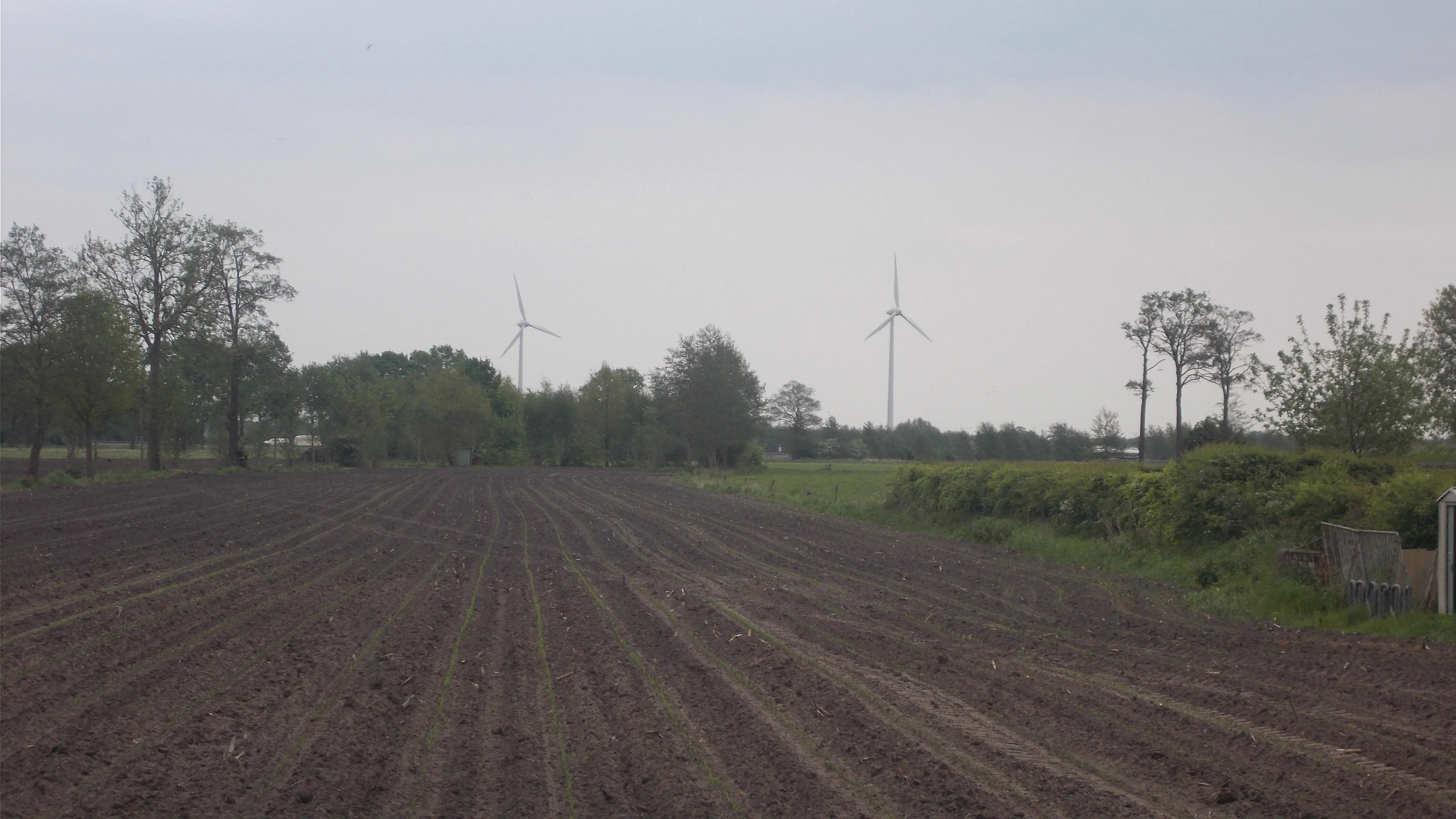 dscn8077 windmolens rouveen