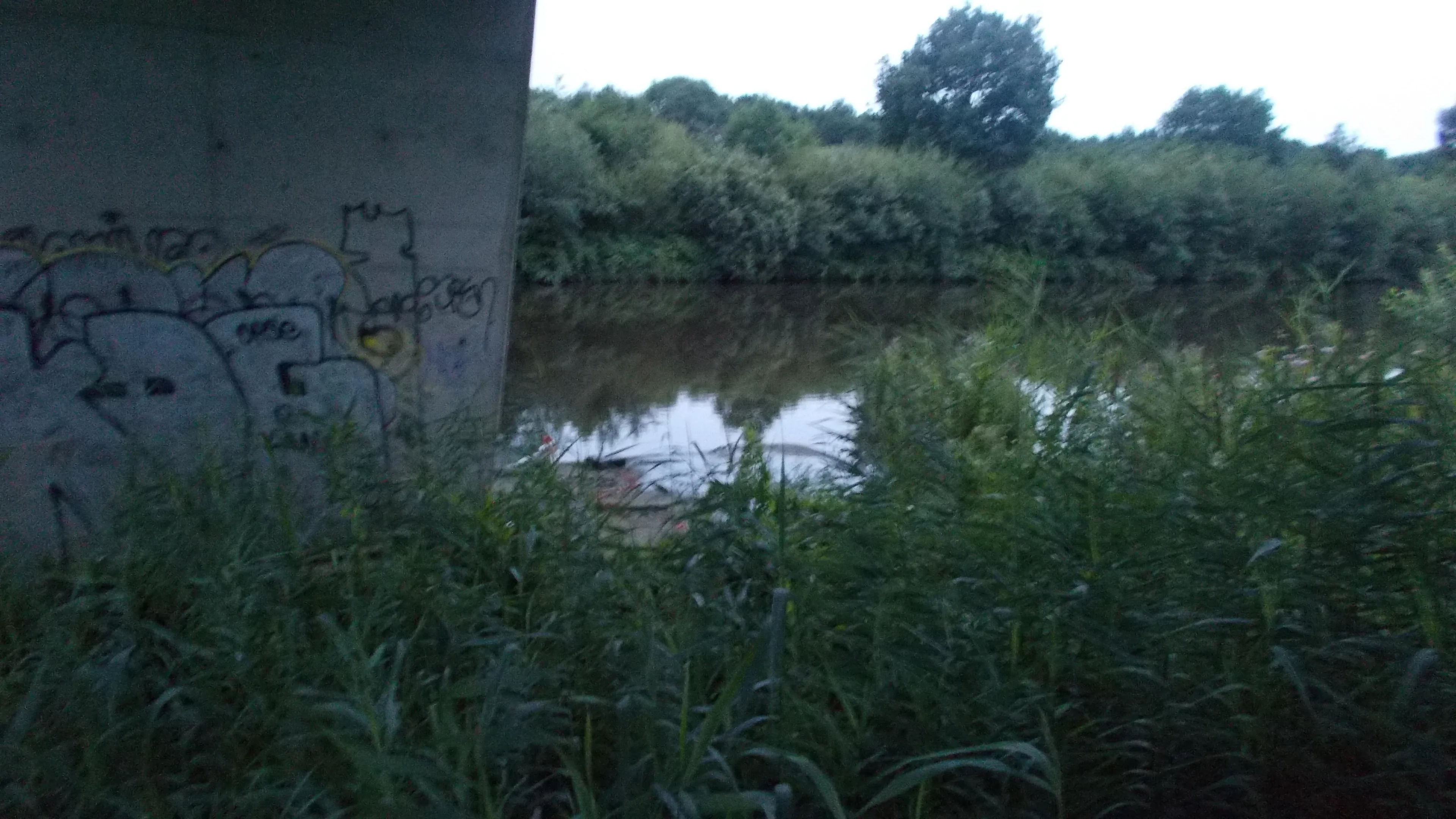 dscn9181