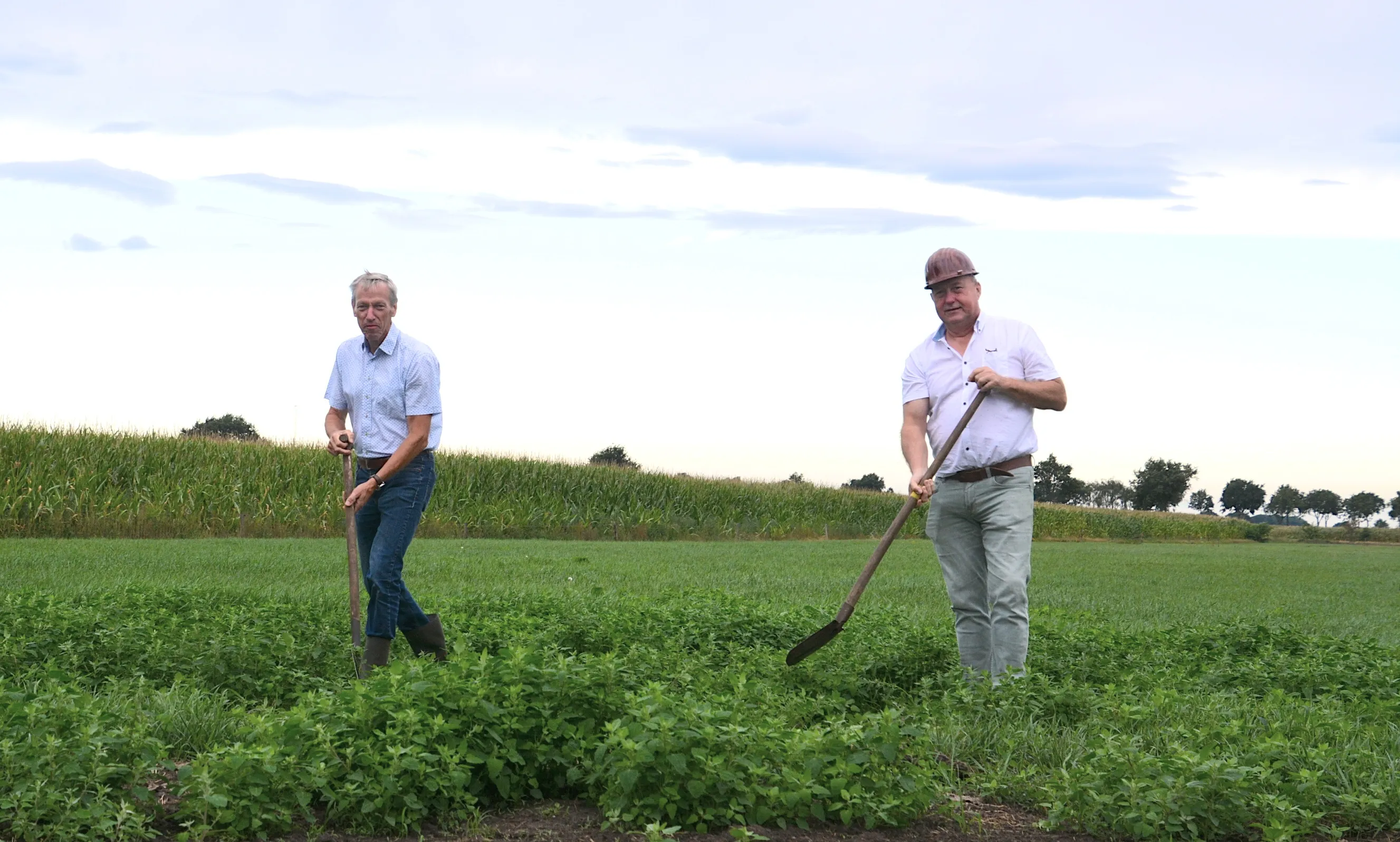 eerste schop in de grond