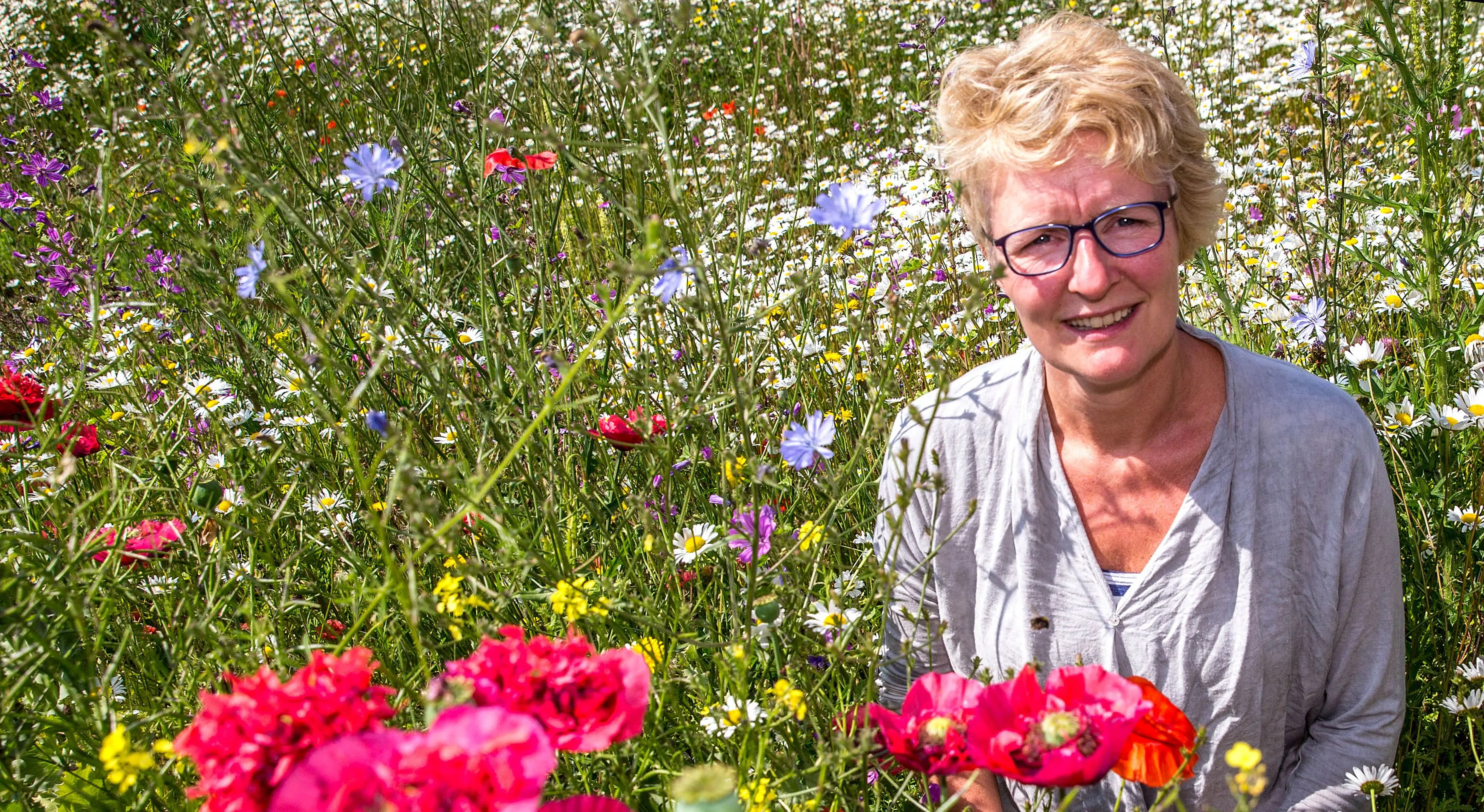 geen angst meer voor wespen