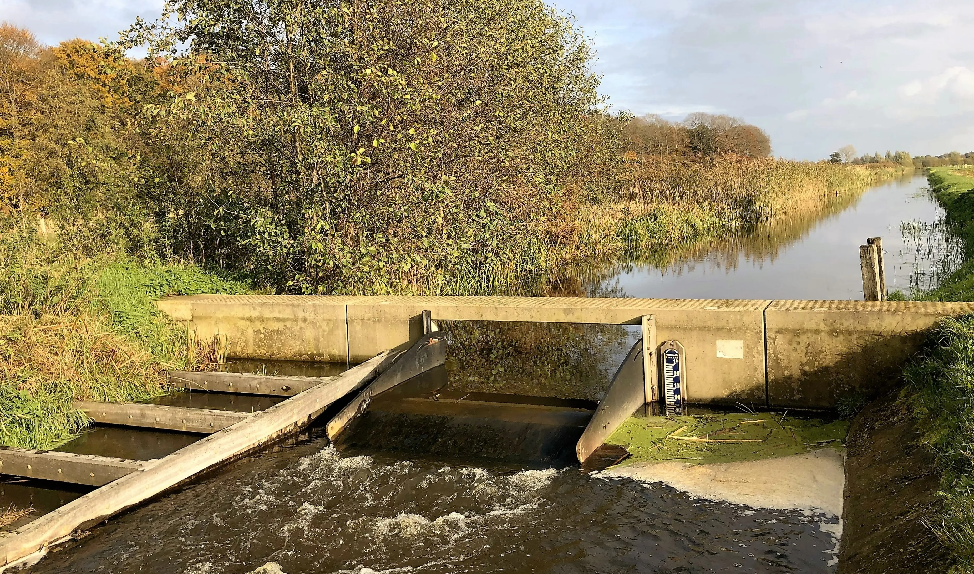 grondwater stuw