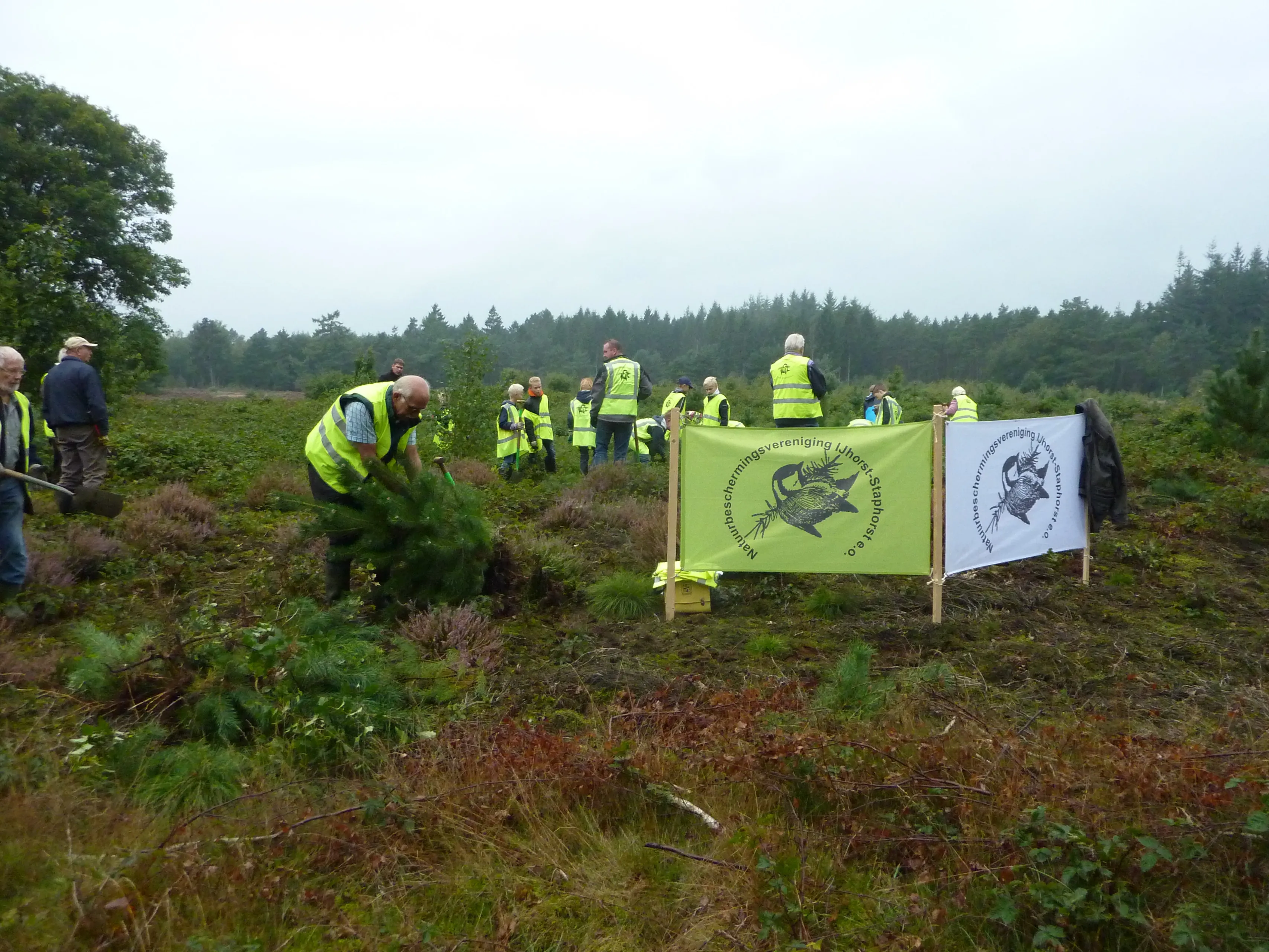 heidezuivering september 2015 1