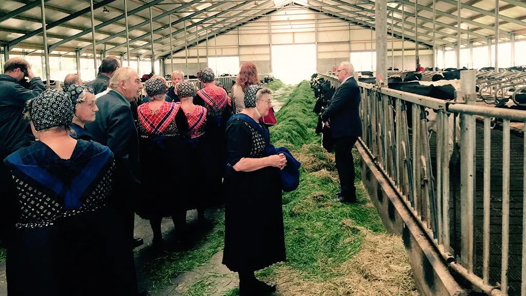 landmans welvaart op kaasboerderij tijnje friesland e1441731240346