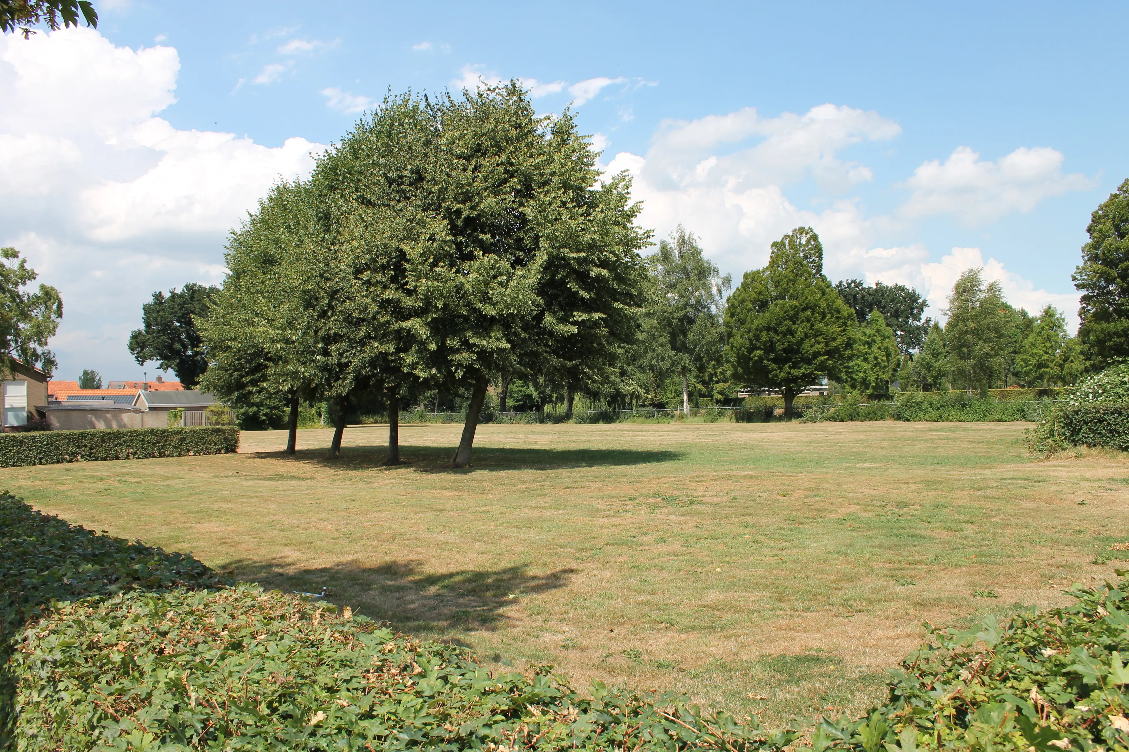 levensboomlocatie