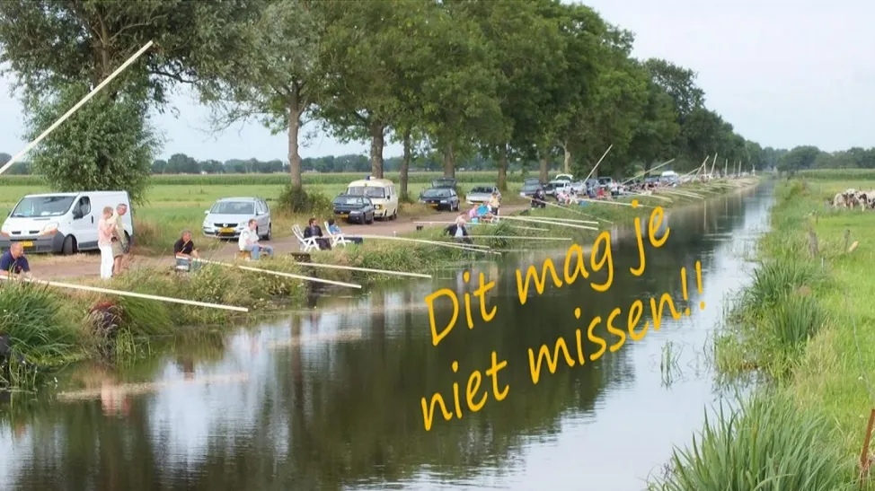 panlatvissen