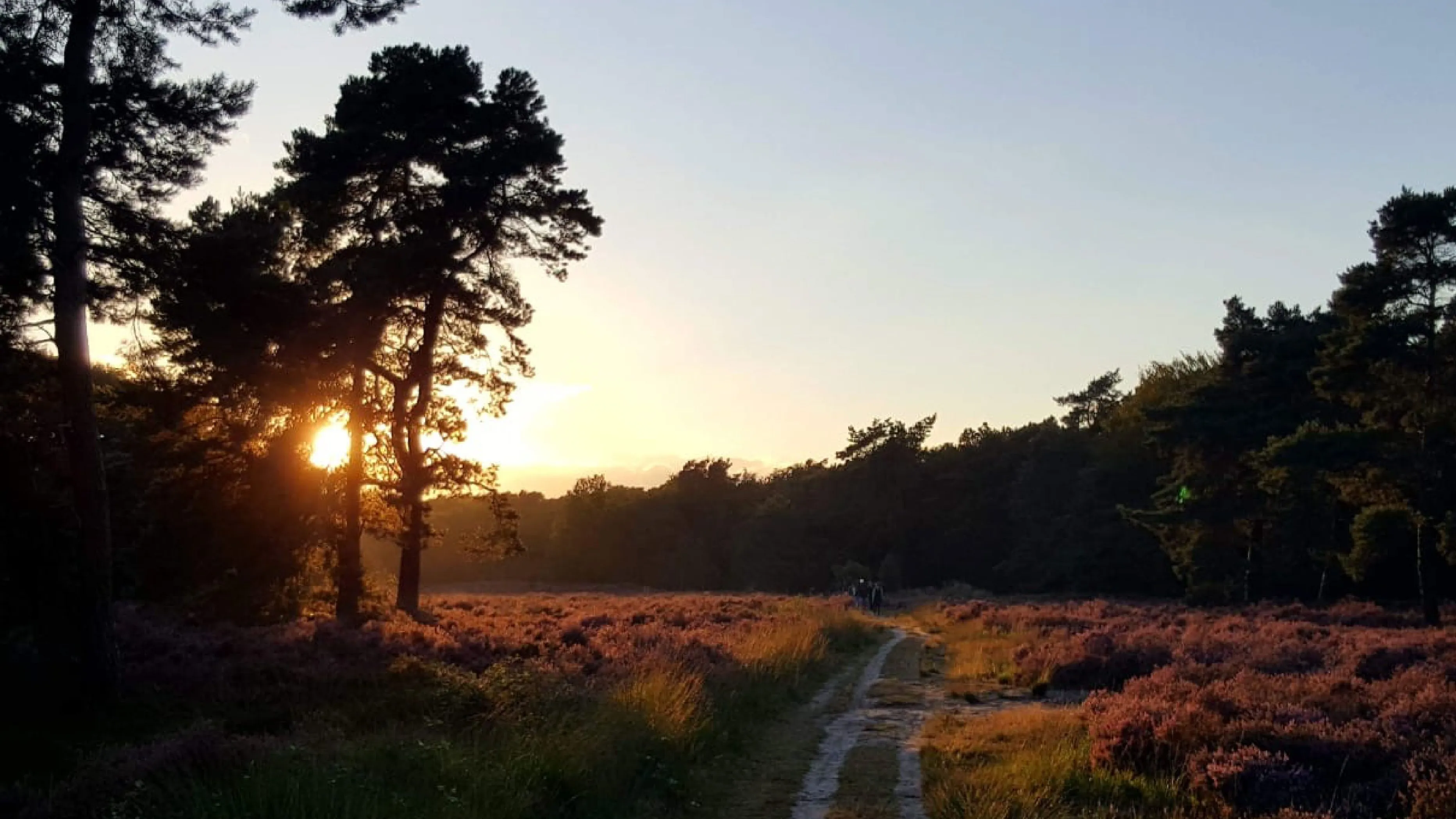 recreatie en toerisme gemeente staphorst