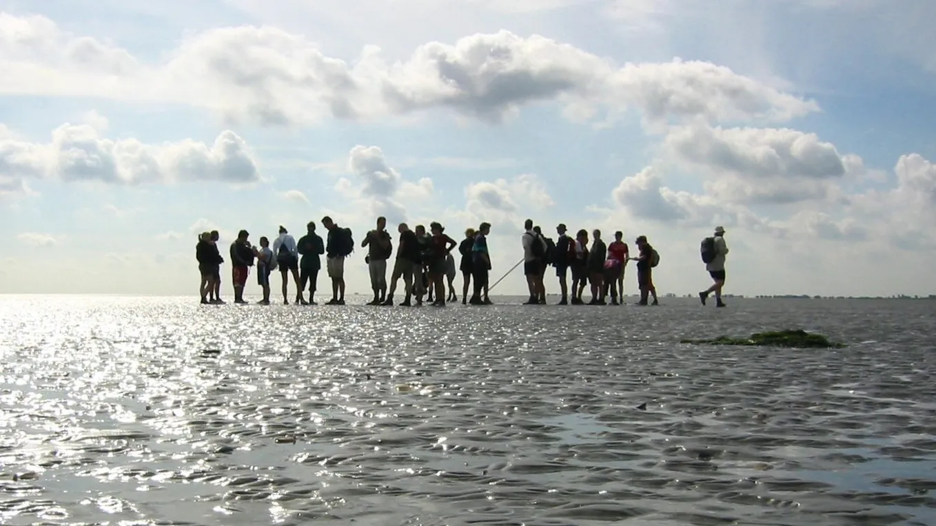 wadlopen bij pieterburen 02a e1445873487426