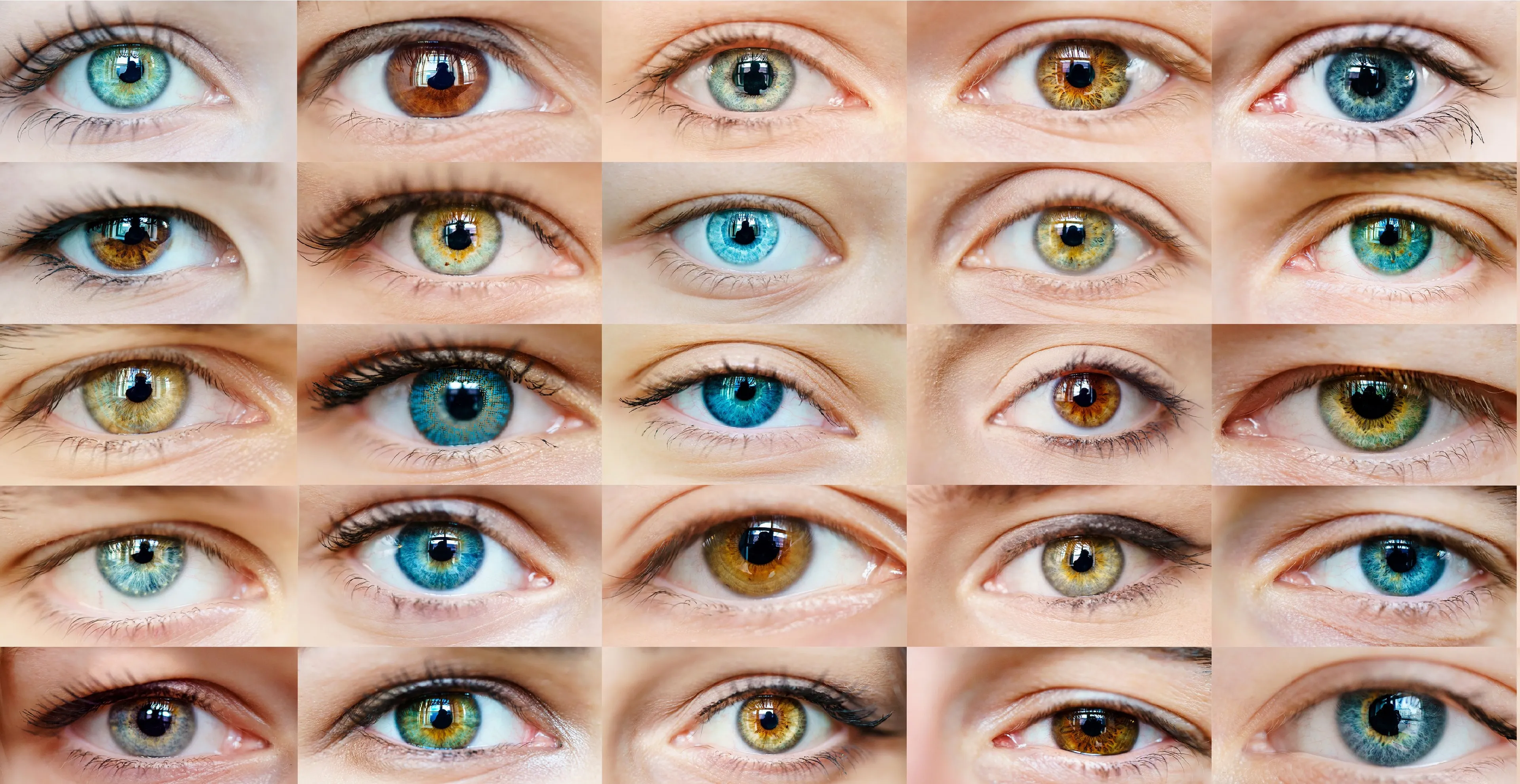 wat voor burgemeester heb jij op het oog gemeente staphorst