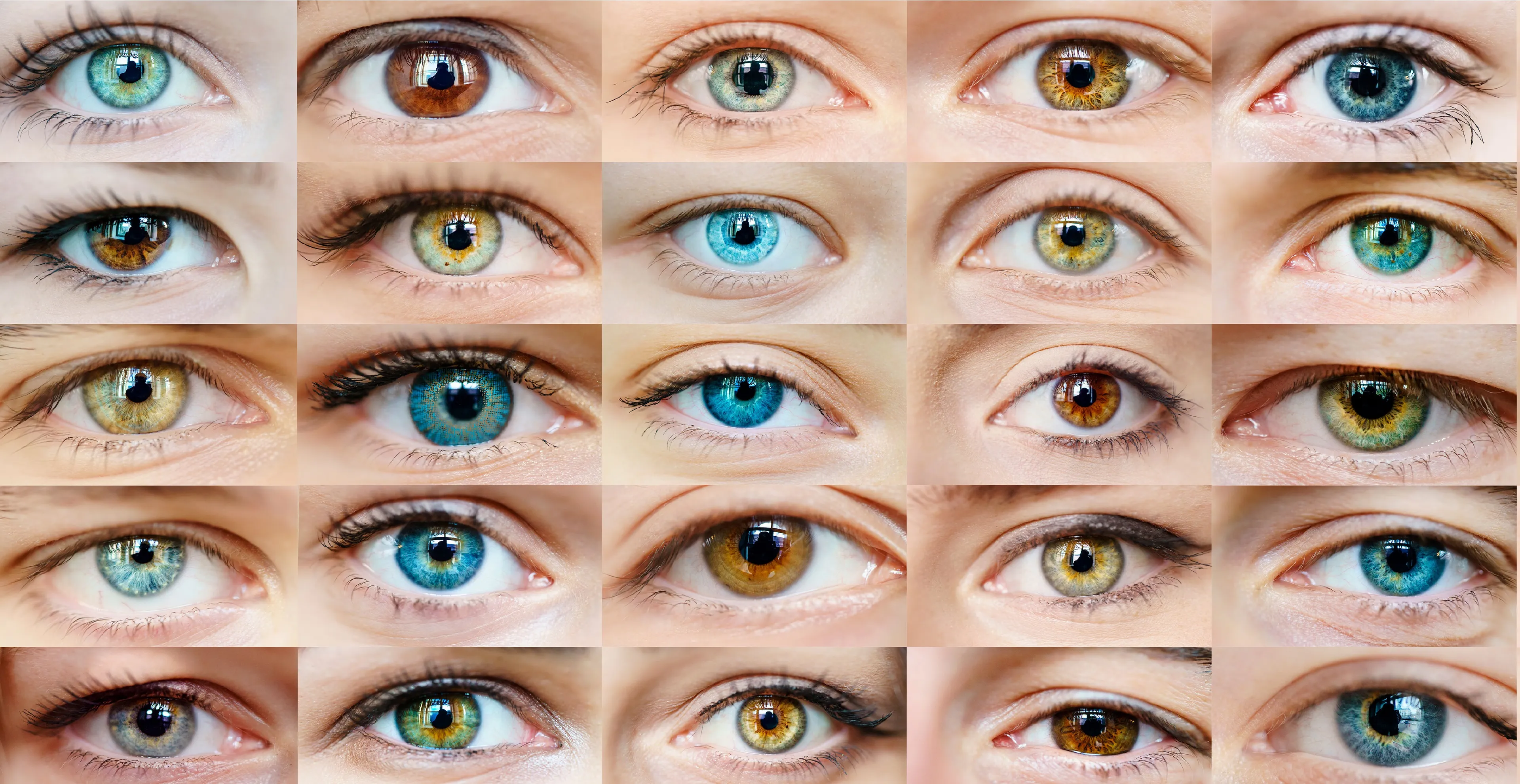 wat voor burgemeester heb jij op het oog gemeente staphorst