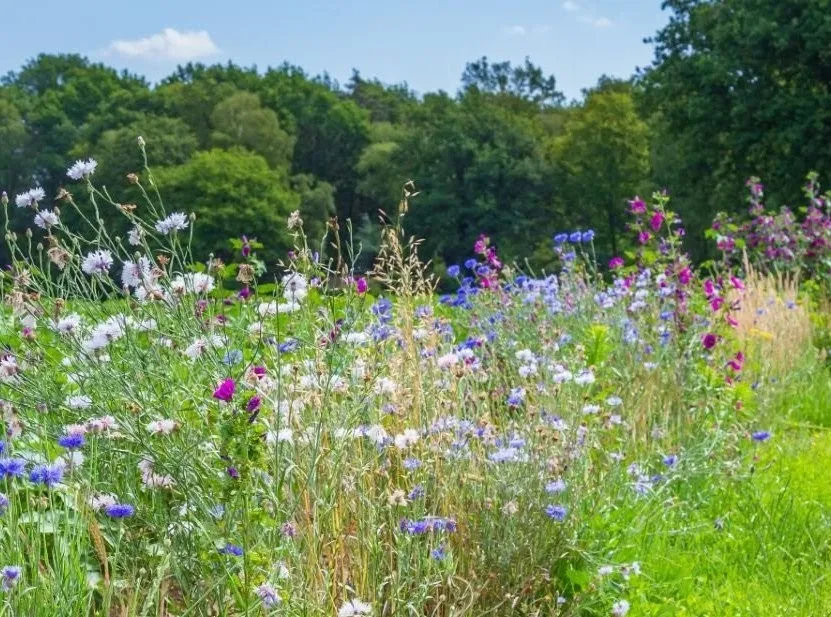 foto bij persbericht 7 april