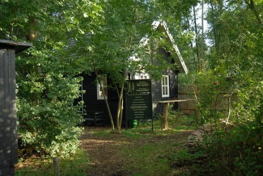 eendenkooi-haasjes