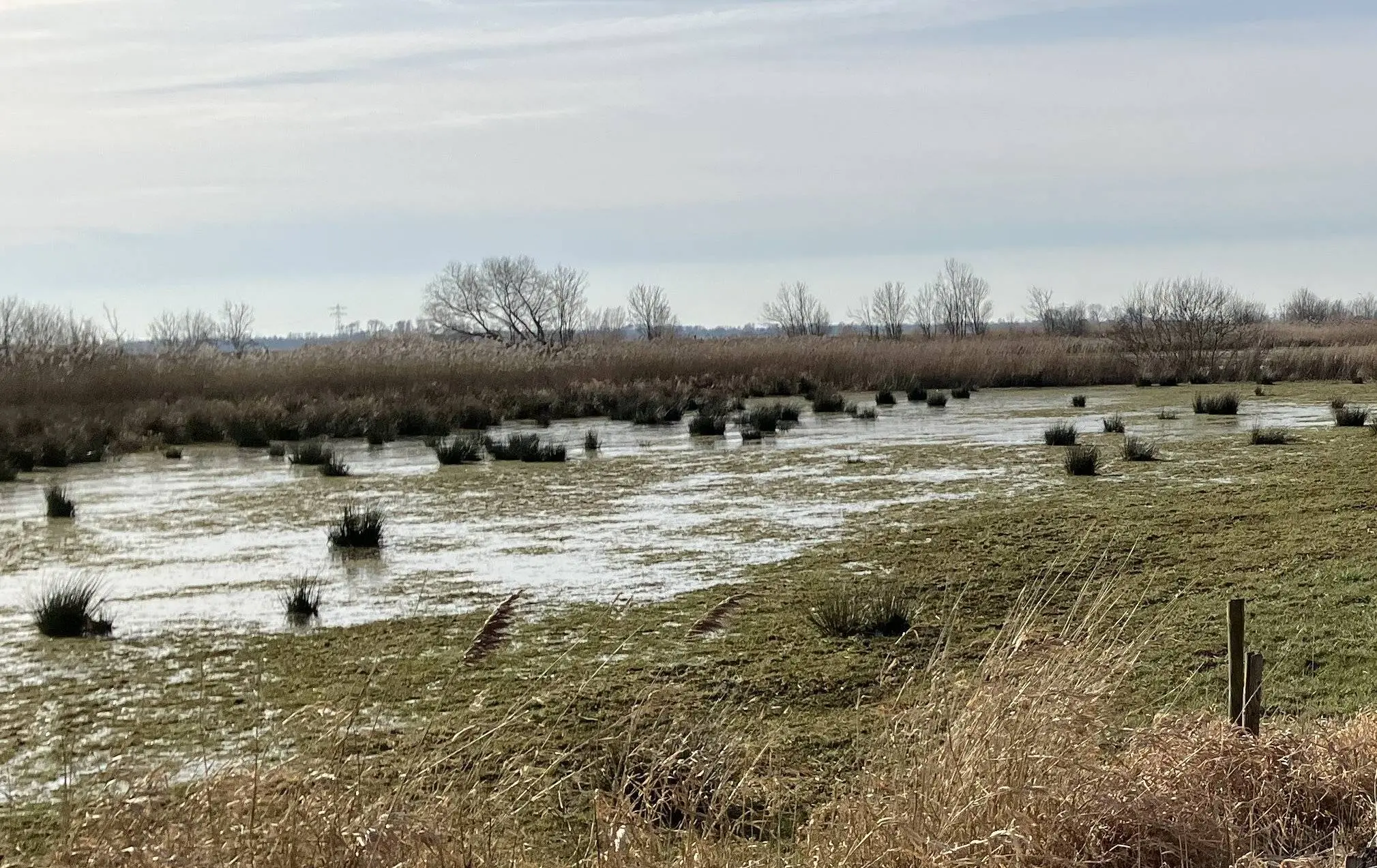 Herinrichting uiterwaarden Meppelerdiep (5) gesneden (1)