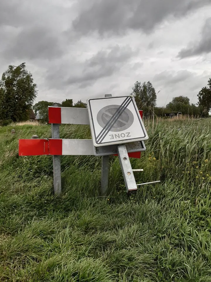 100481663 964666757285804 8582312386554232832 o