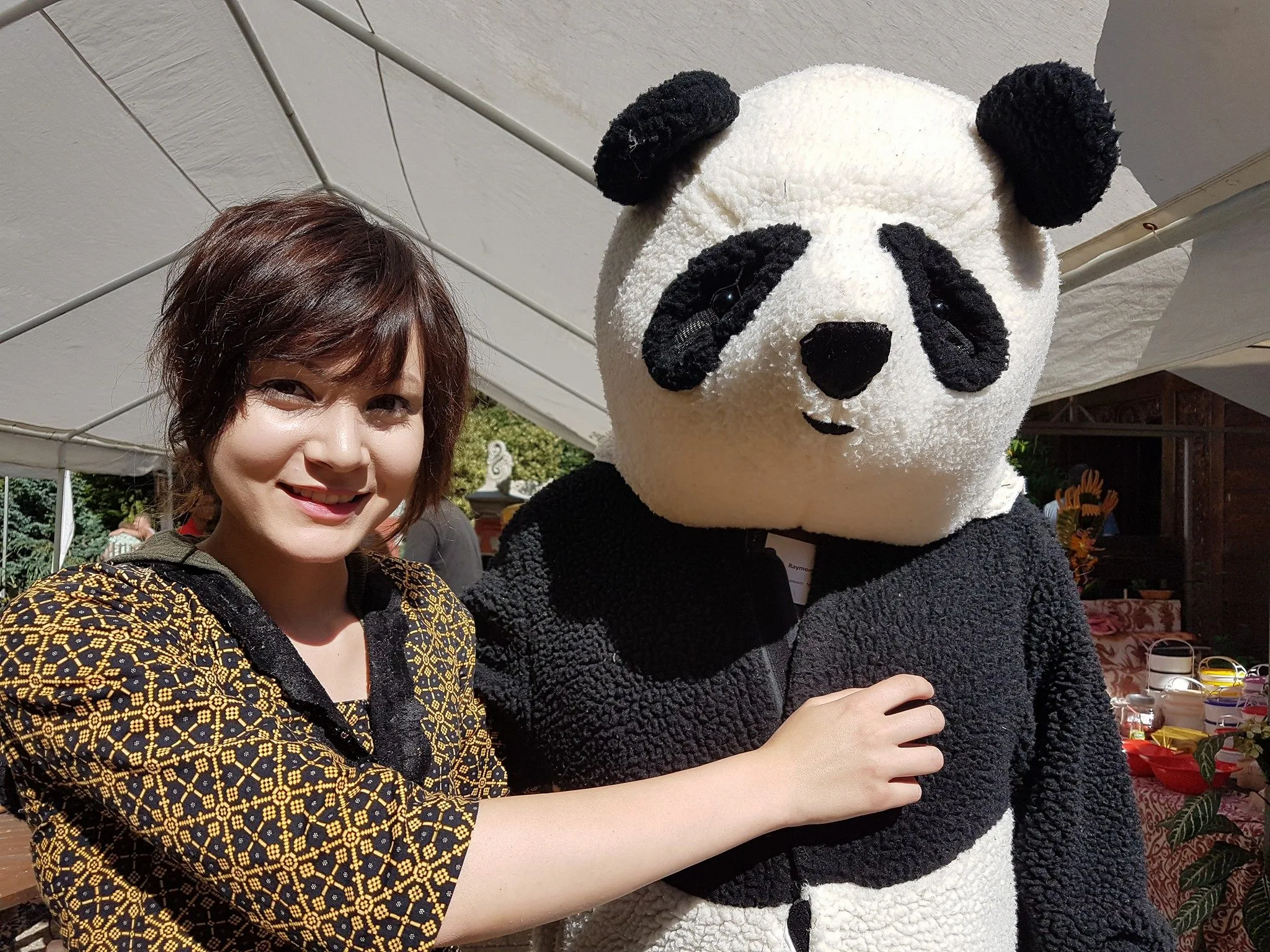 13995664 1065603176810198 3858001564548042825 o