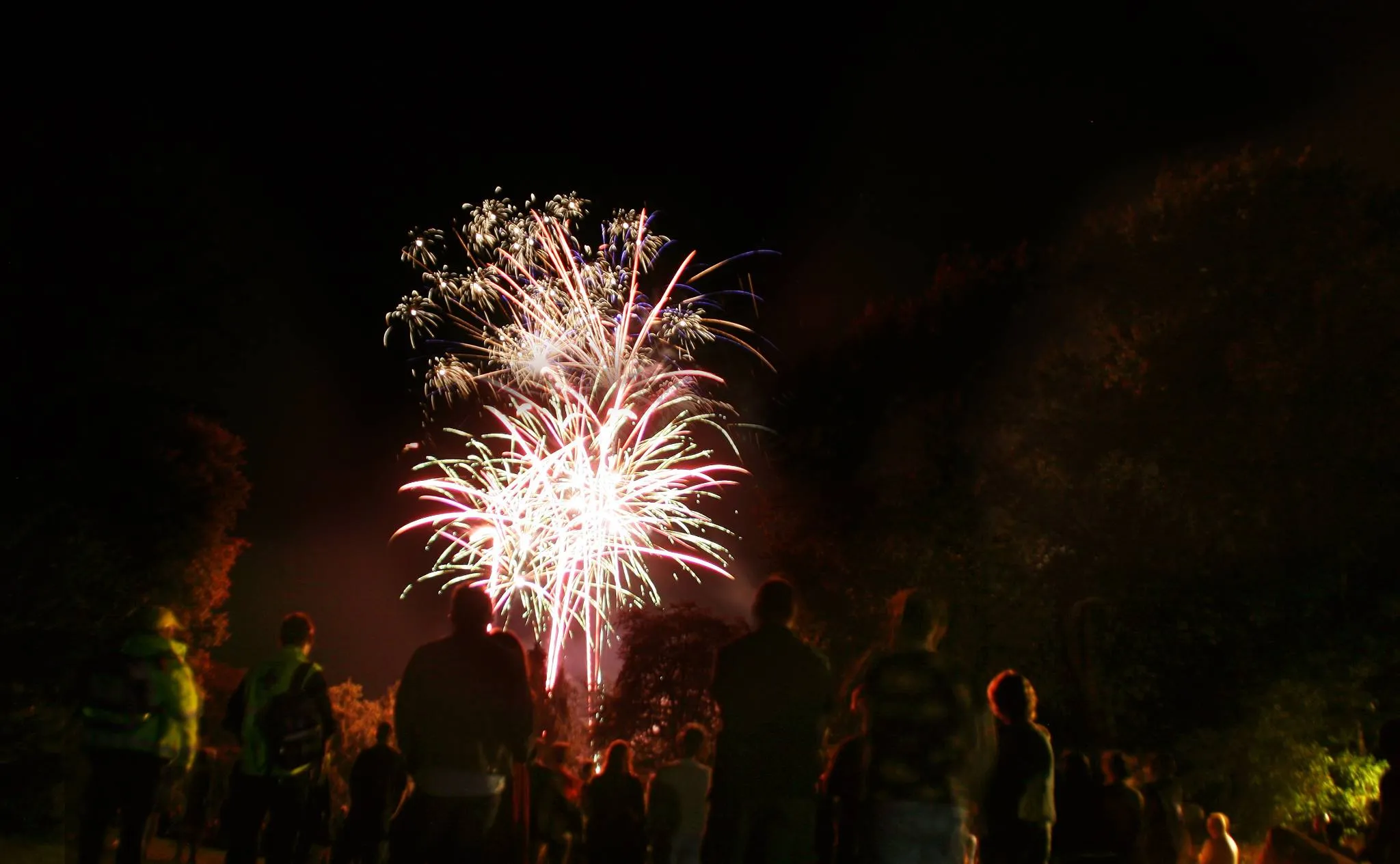 14273446 1176402062418118 461461588 o