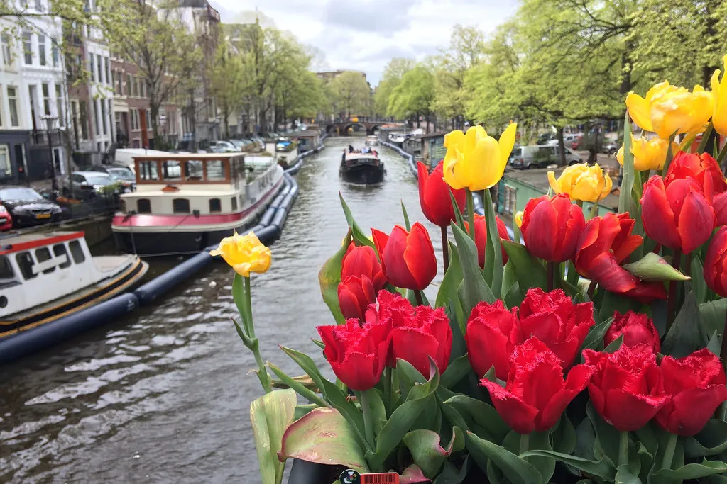 17273988681 9ee4287e66 b