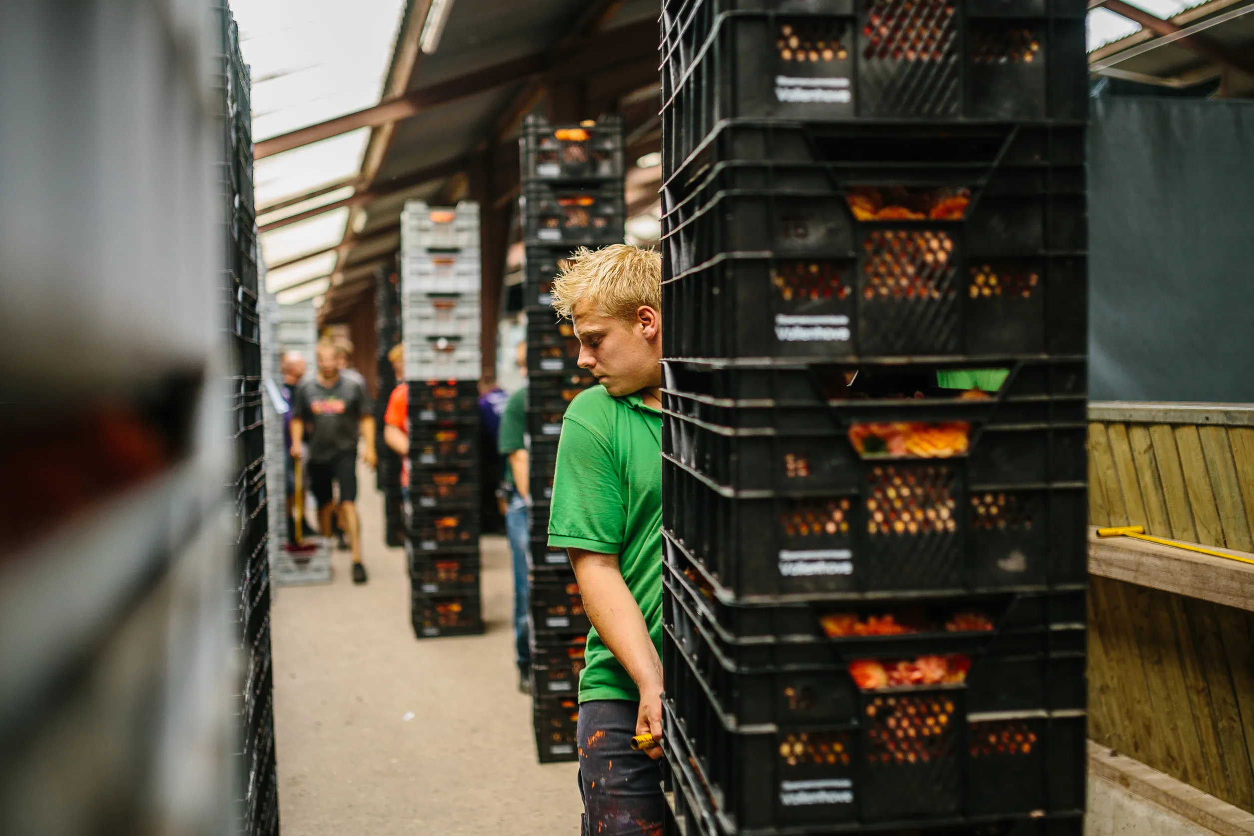 20180814 img 0979 wilko visscher 50