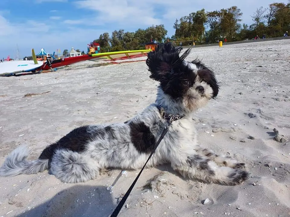 76becc32 659e 4206 b6dd b0e407cecd74