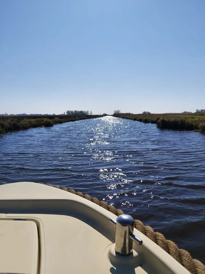 92163339 3112835632165067 6998150232416452608 o