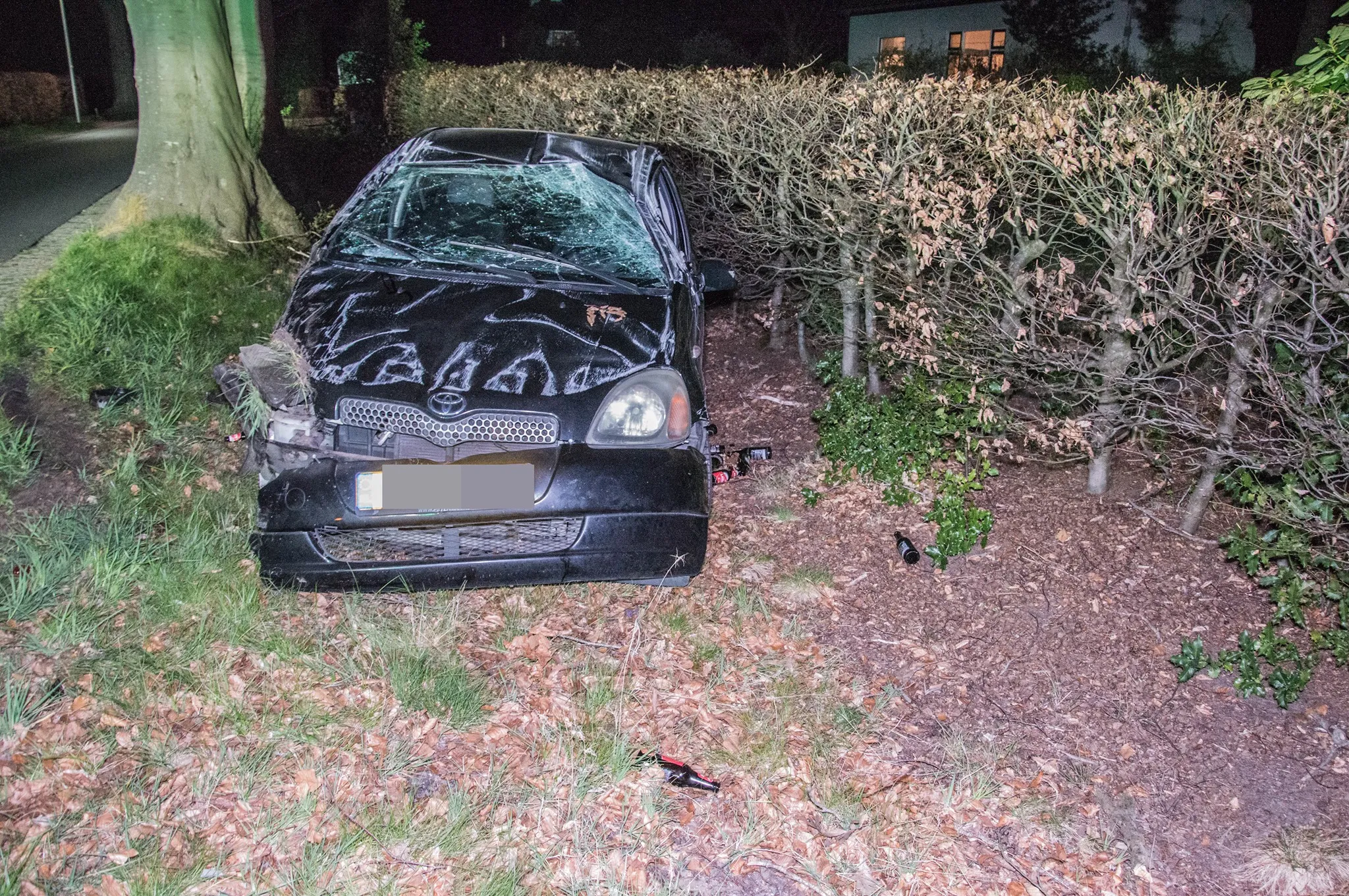 92778248 158129519065233 2869876806222086144 o