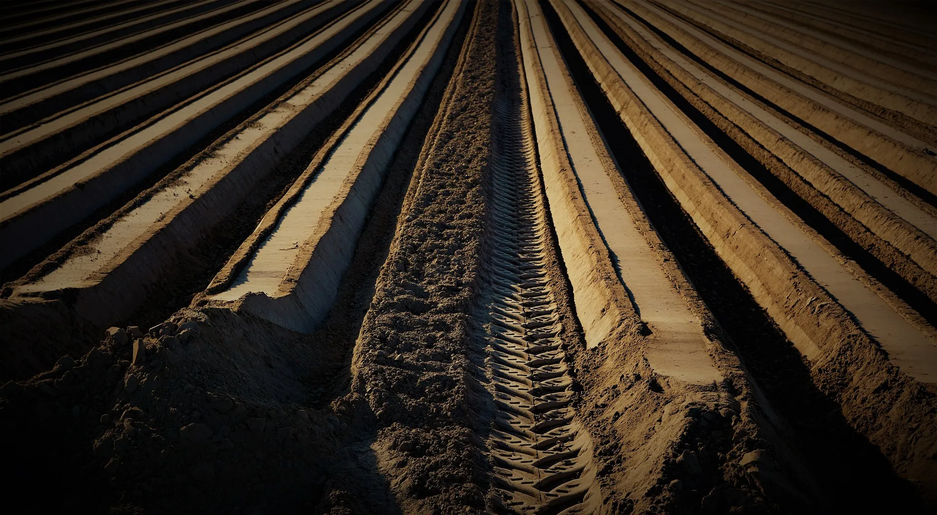 agriculture 5136383 1920