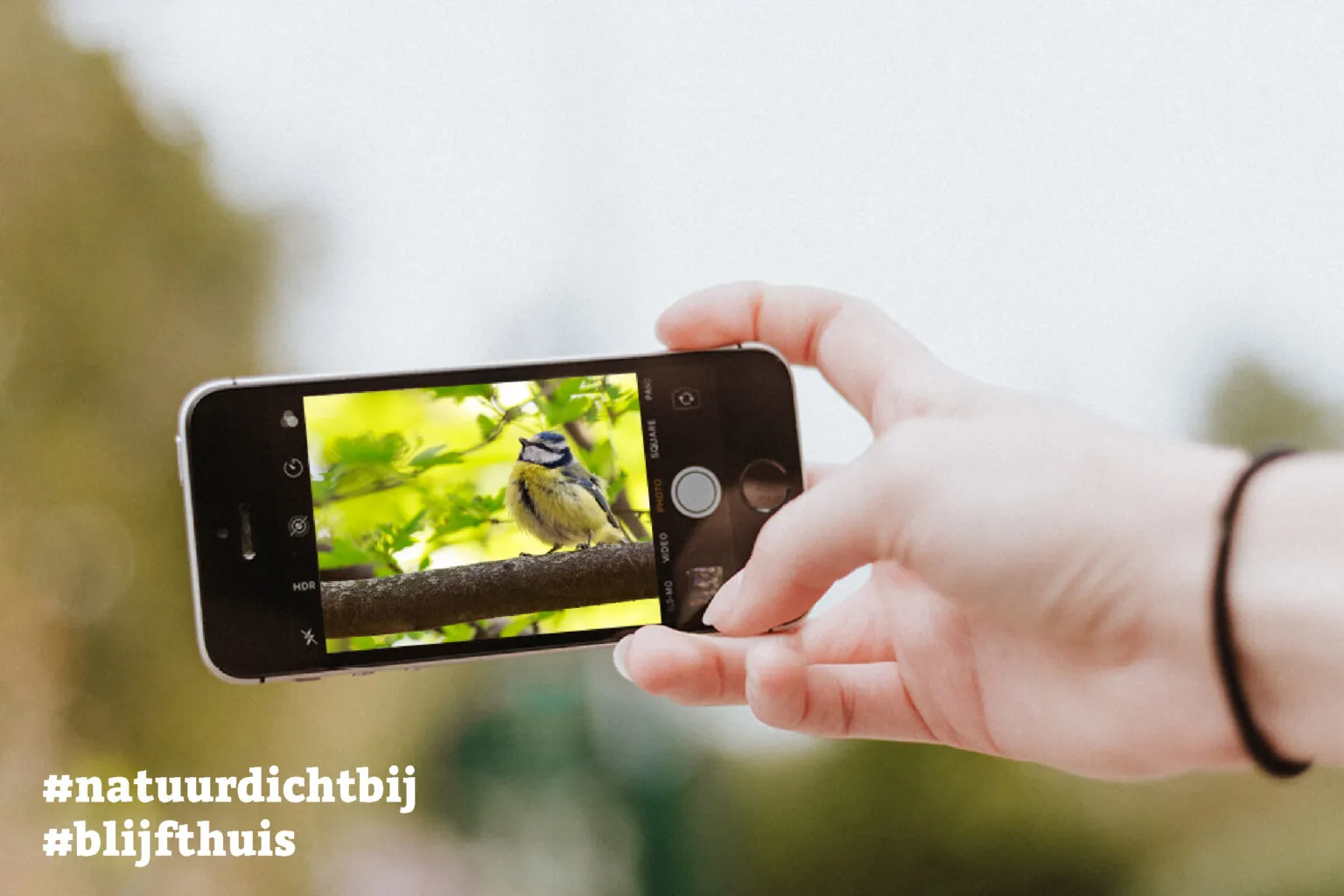 bmf natuurdichtbij 1536x1024 1