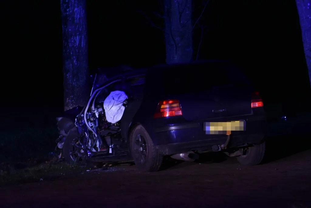 dsc 3241p 1024x683 1