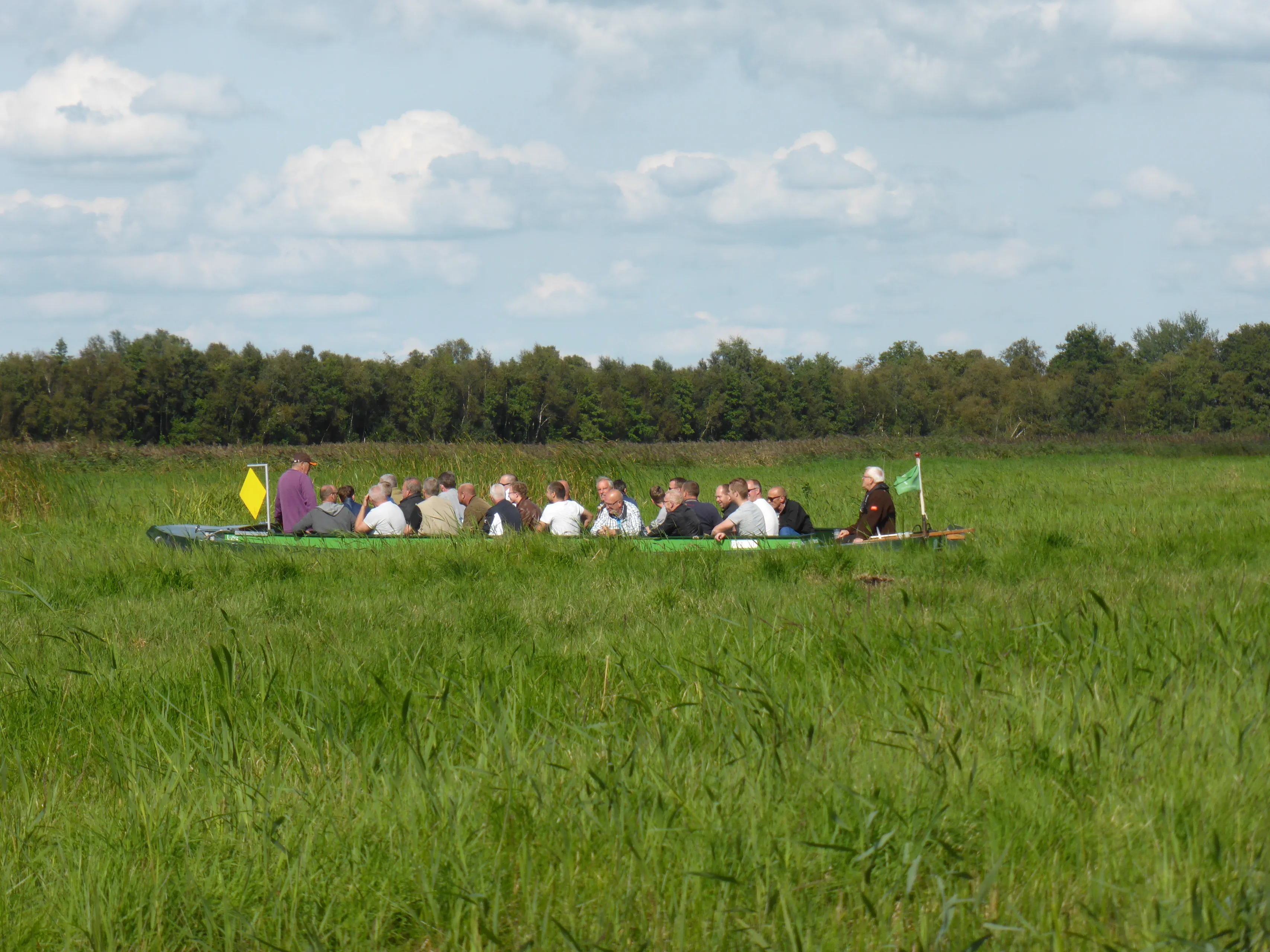 excursieboot voorjaar bos achtergrond