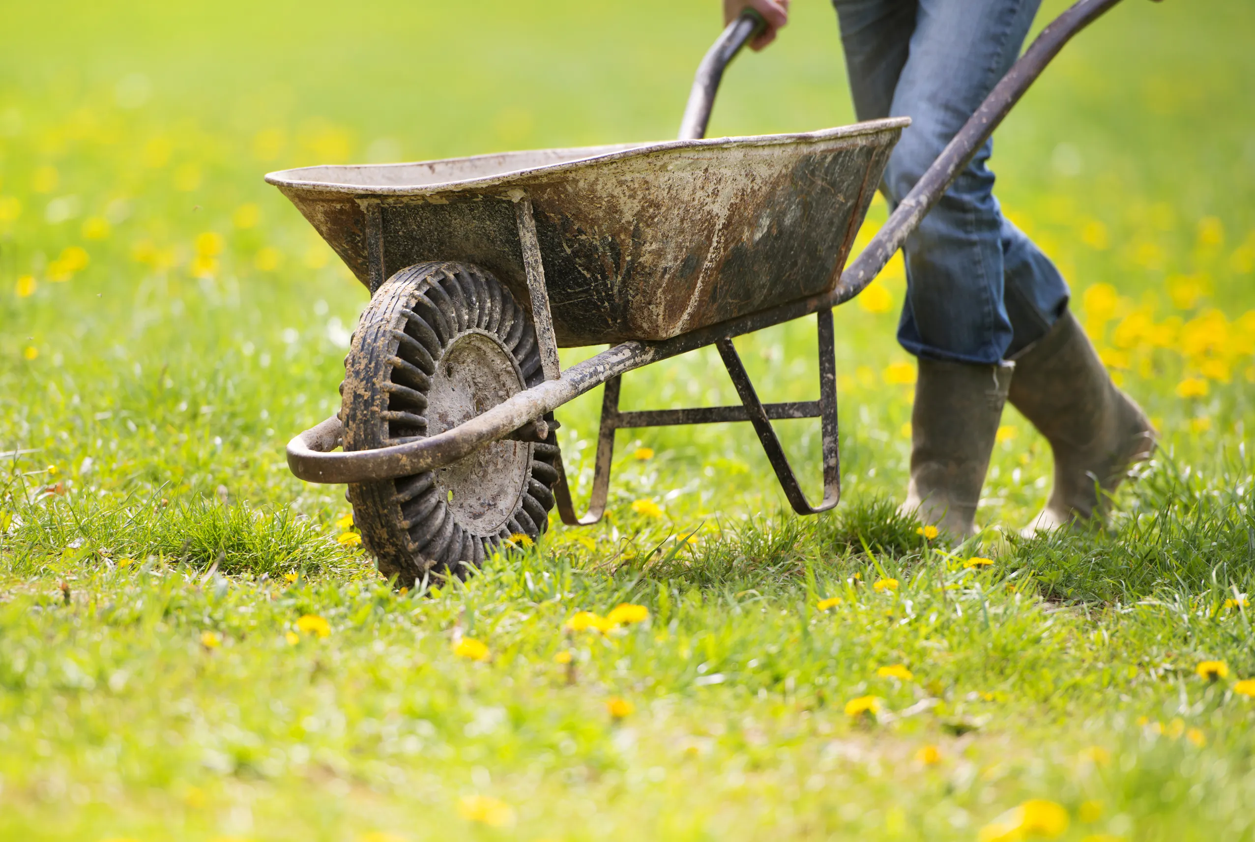 farmer with wheelbarrow pt9qydc 40