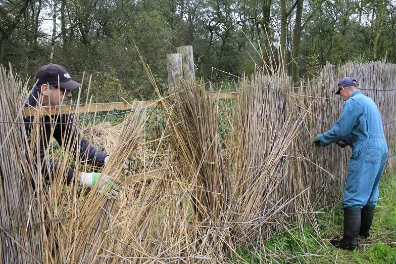 foto otterskooi vrijwilliger ah werk 2020 erik driessen