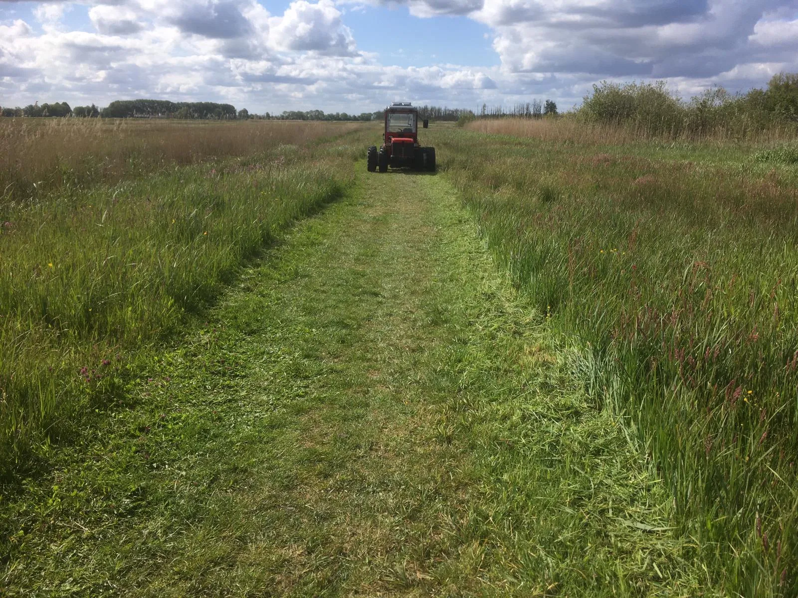 foto wandelpaden breder gemaaid