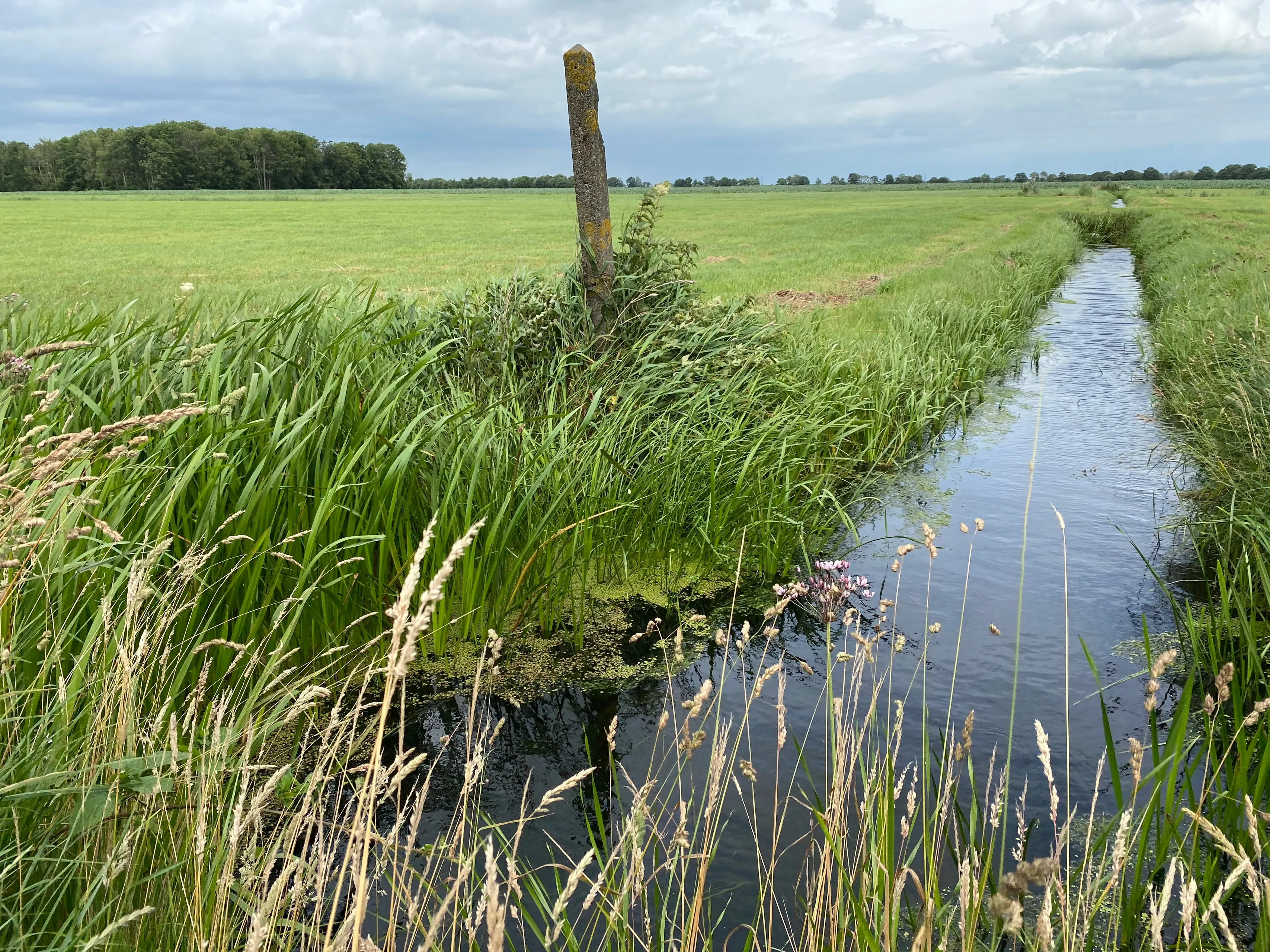 herinrichting polders nijeveen kolderveen