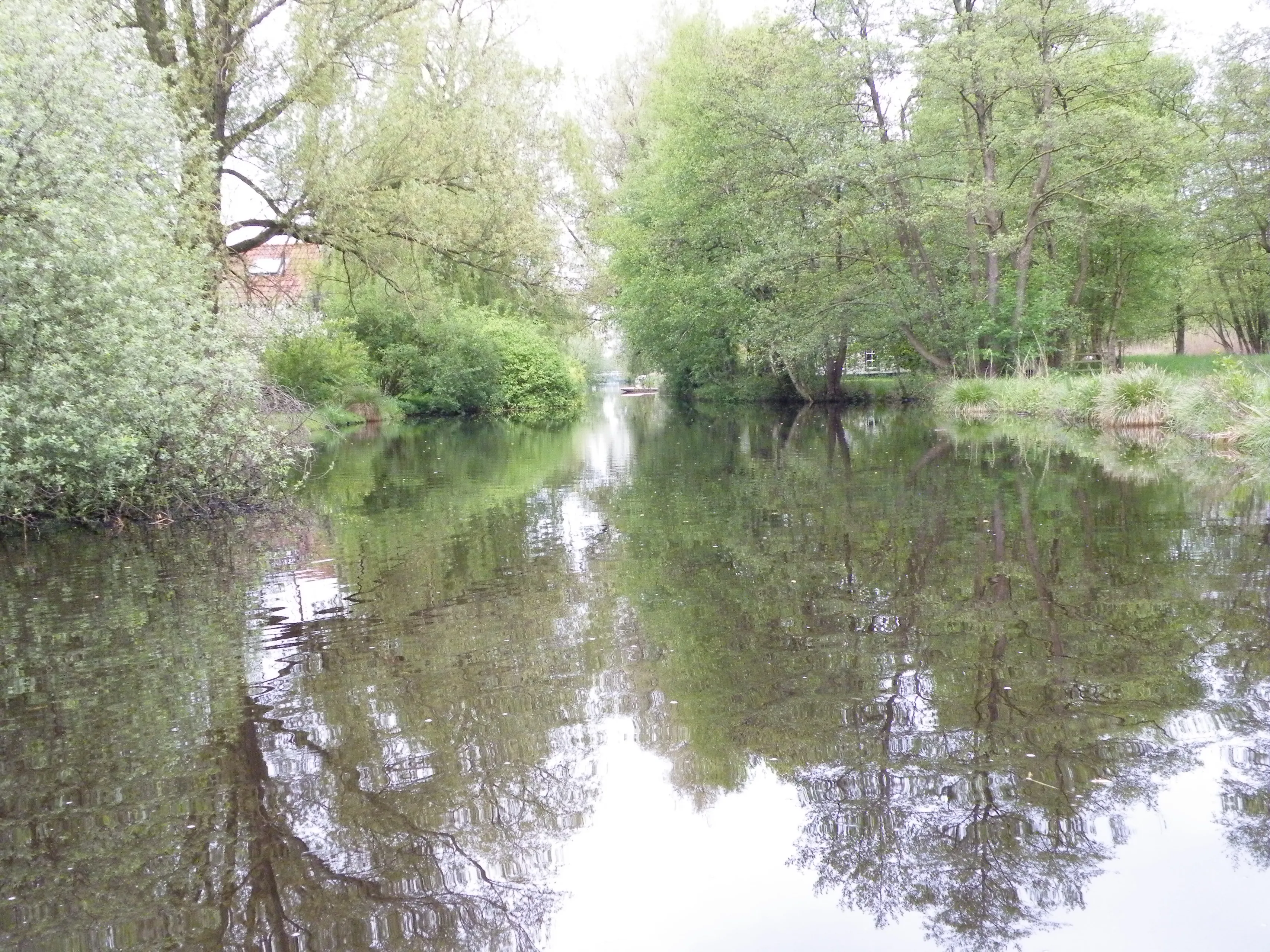 ii juni rottige meente