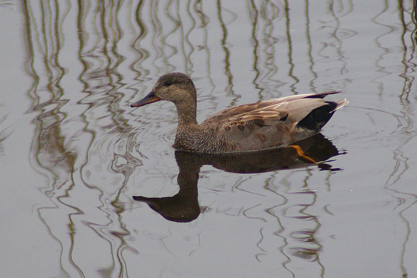 iv november eeserwold