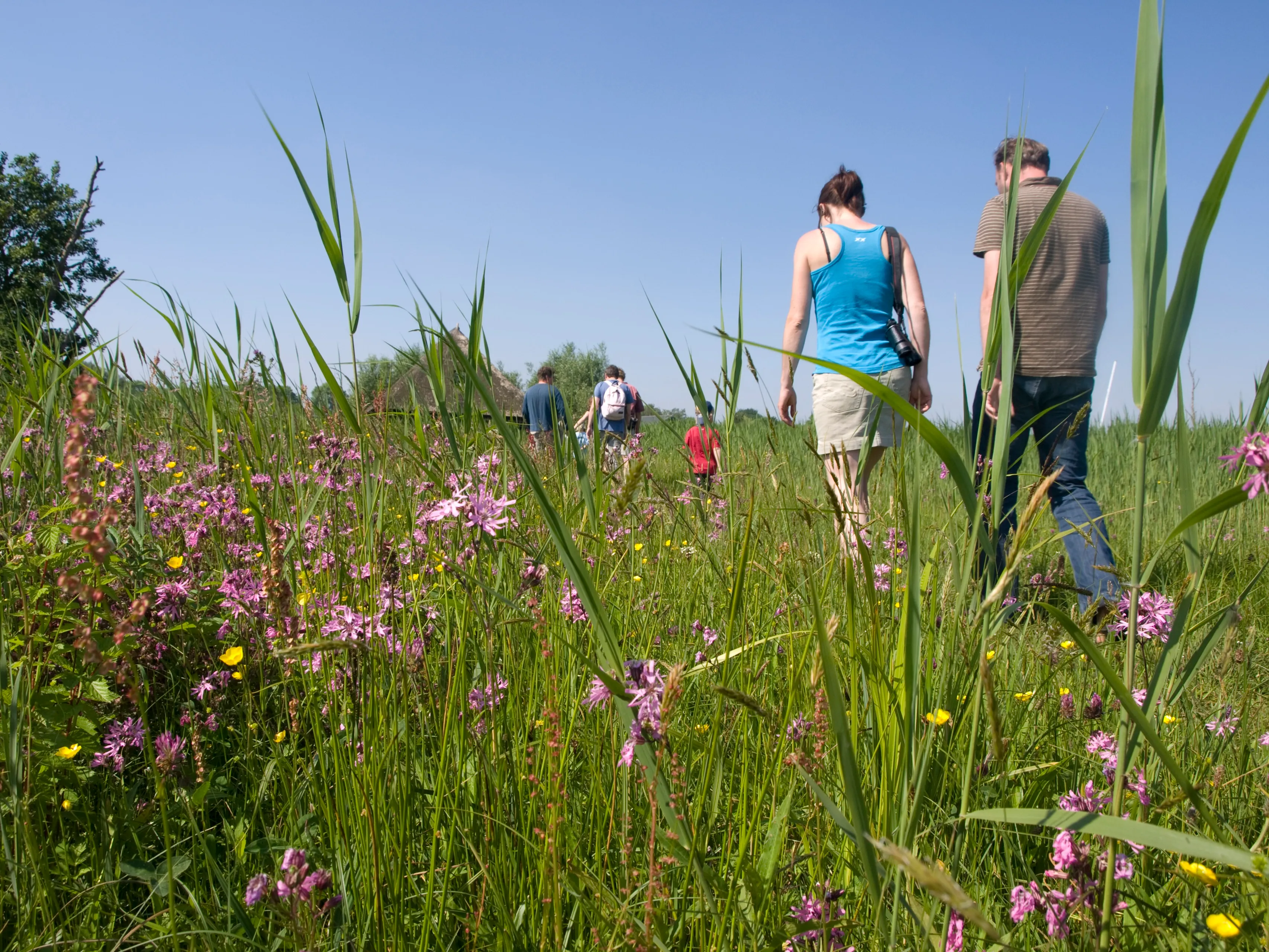 natuurmonumenten namo29994