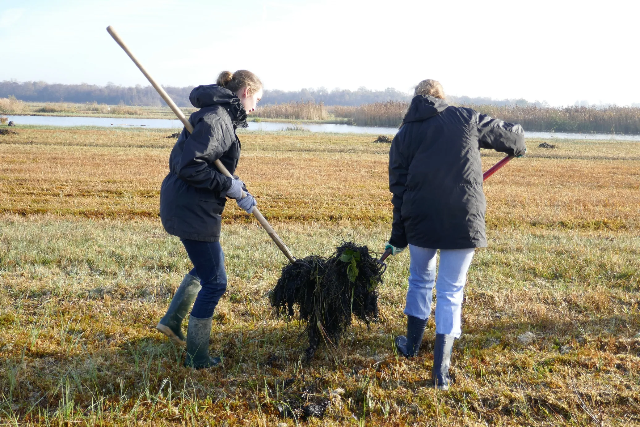 natuurwerkdag 10