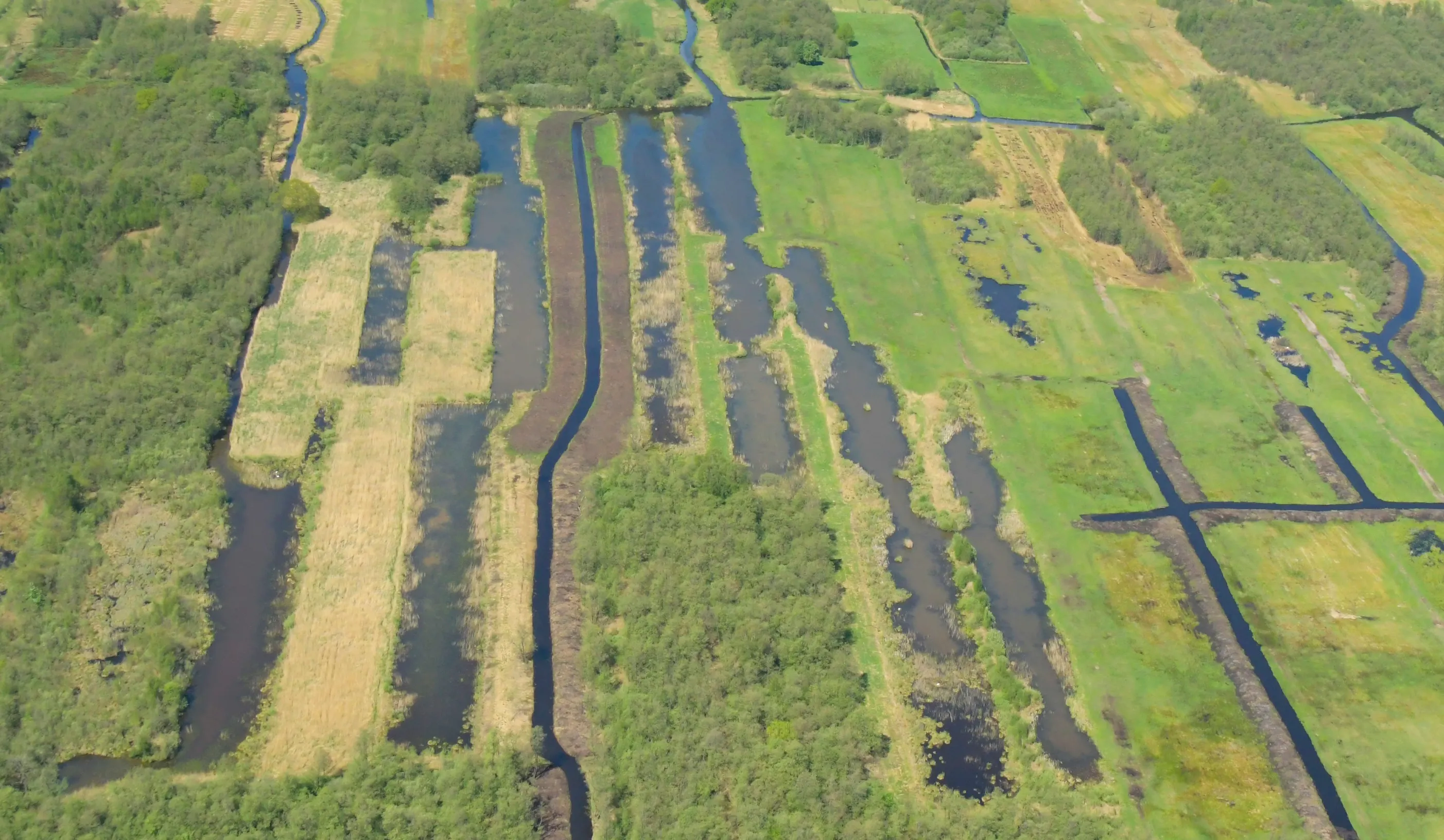 petgaten zwartsluis rm