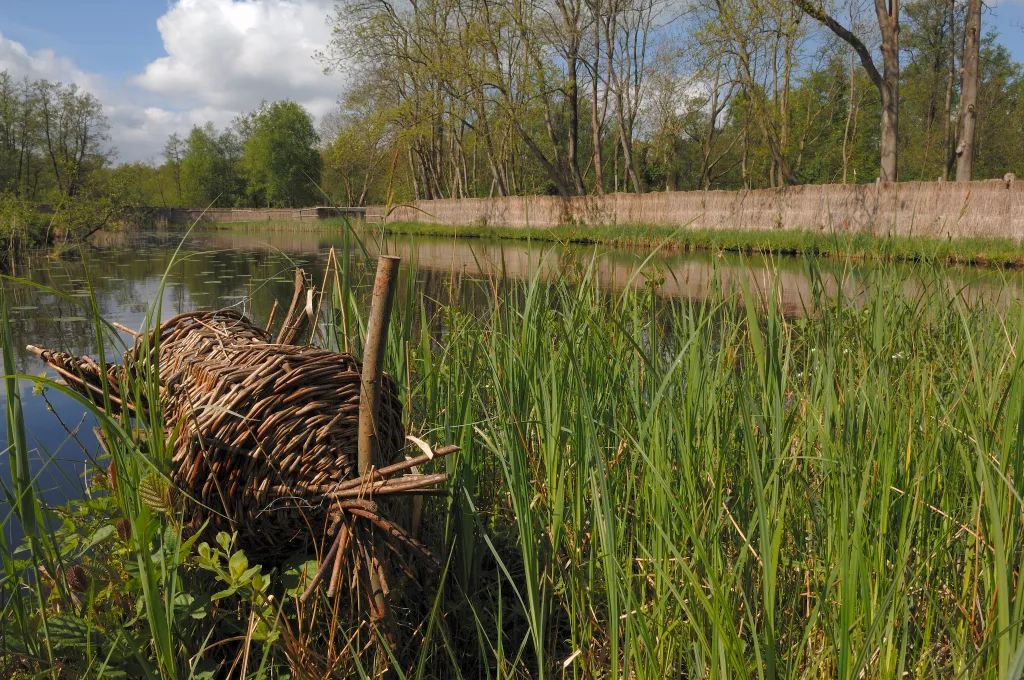 philip friskorn 20050512 0014 eendenkorf plas