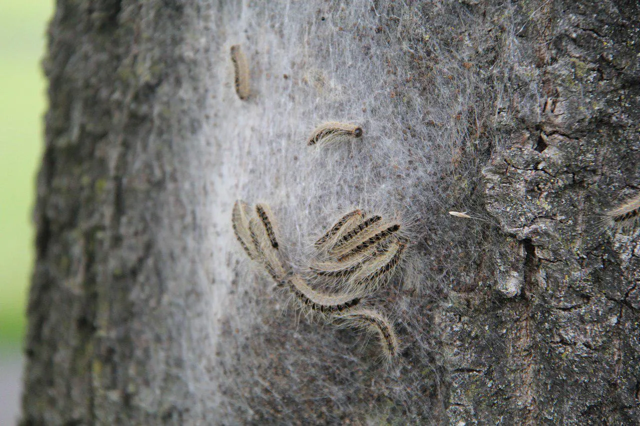 photo 2018 06 24 22 20 40