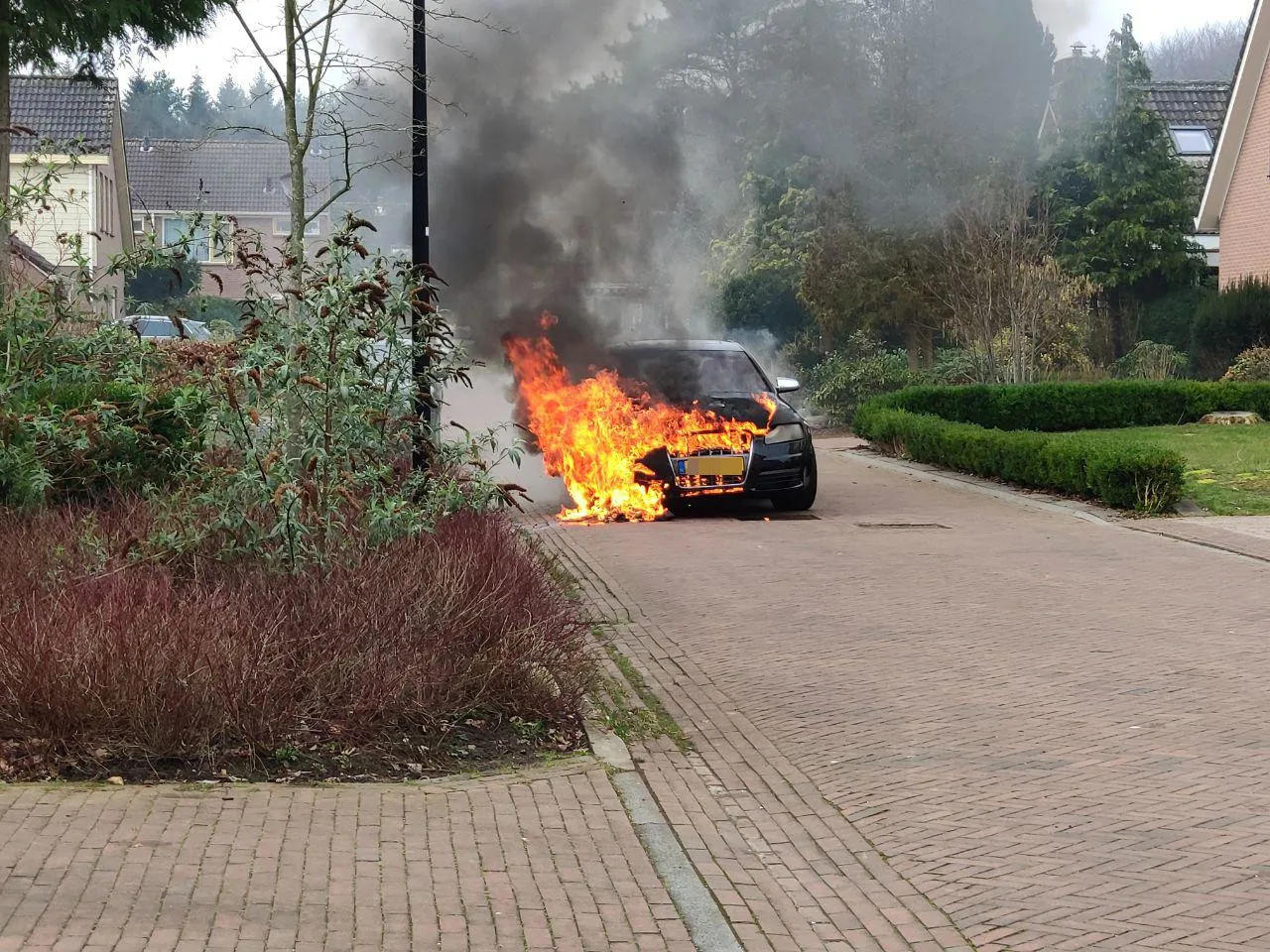 photo 2019 03 02 11 48 35