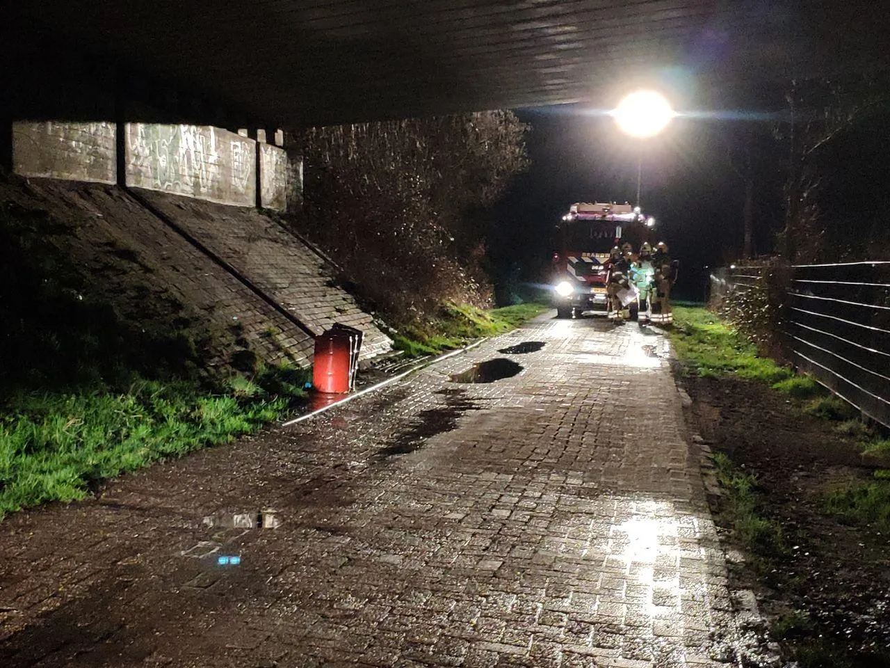 photo 2019 03 12 20 46 10