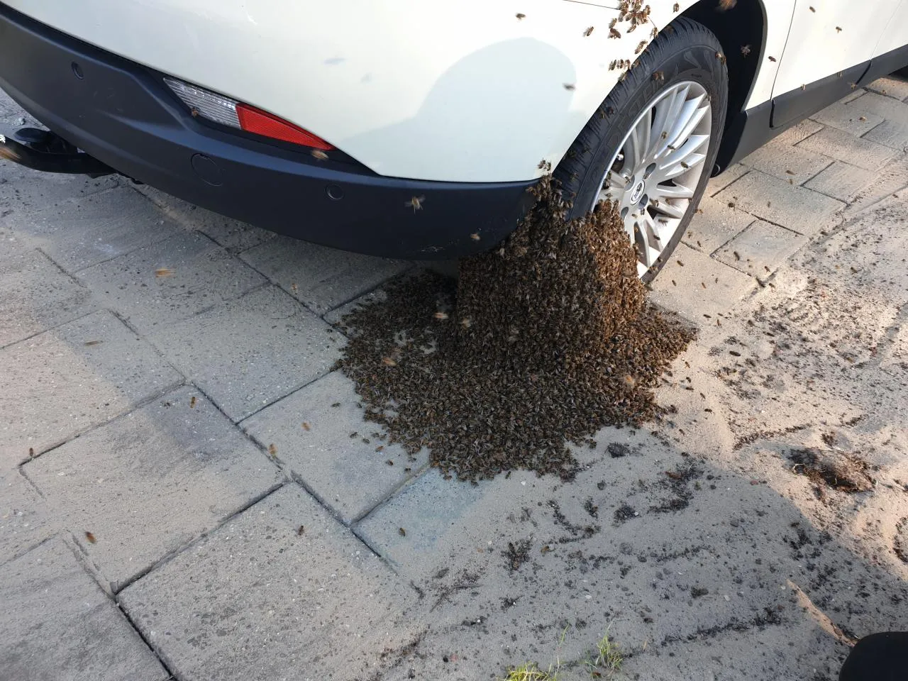 photo 2019 04 21 00 39 01