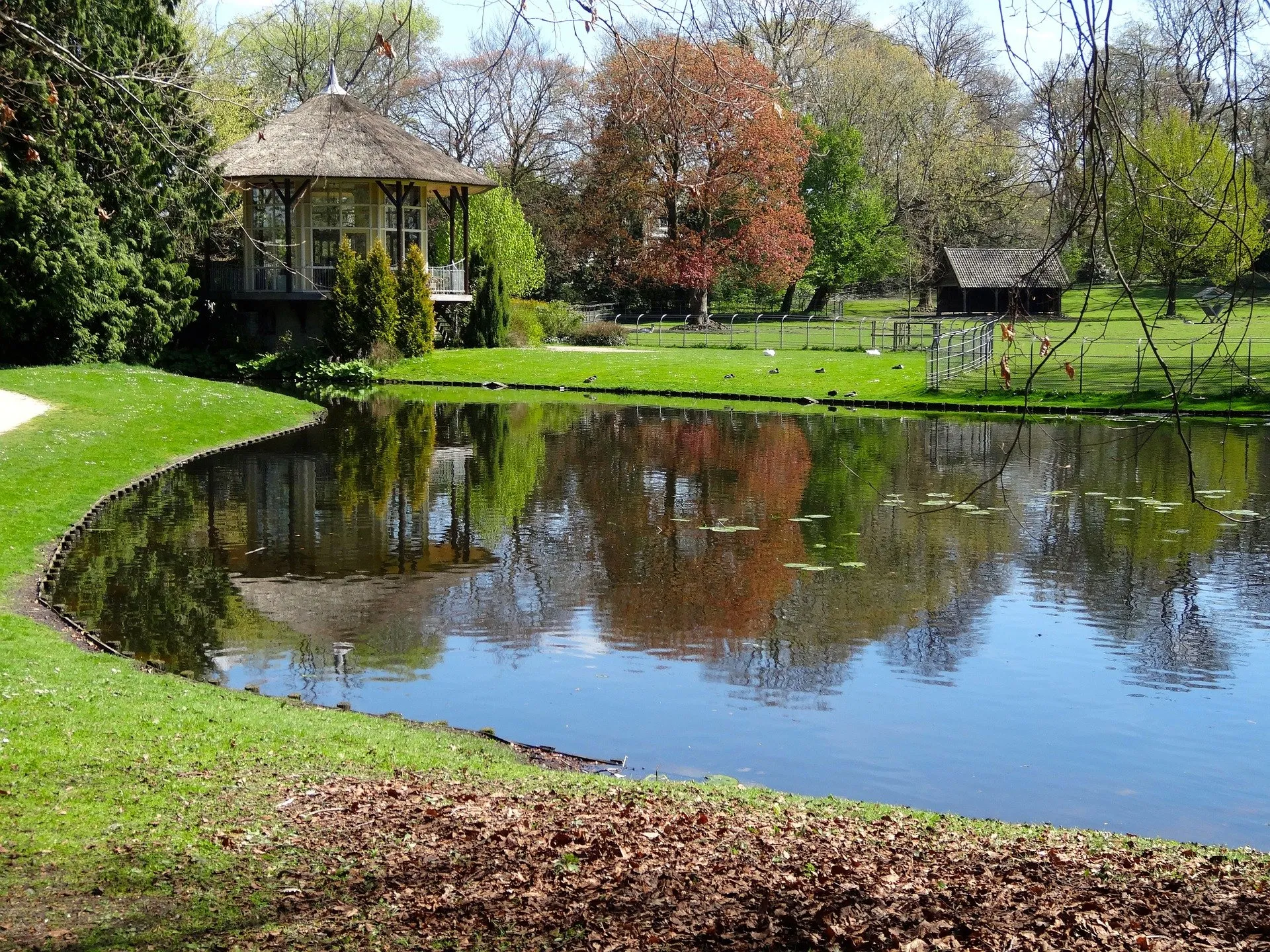 rams woerthe 855382 1920