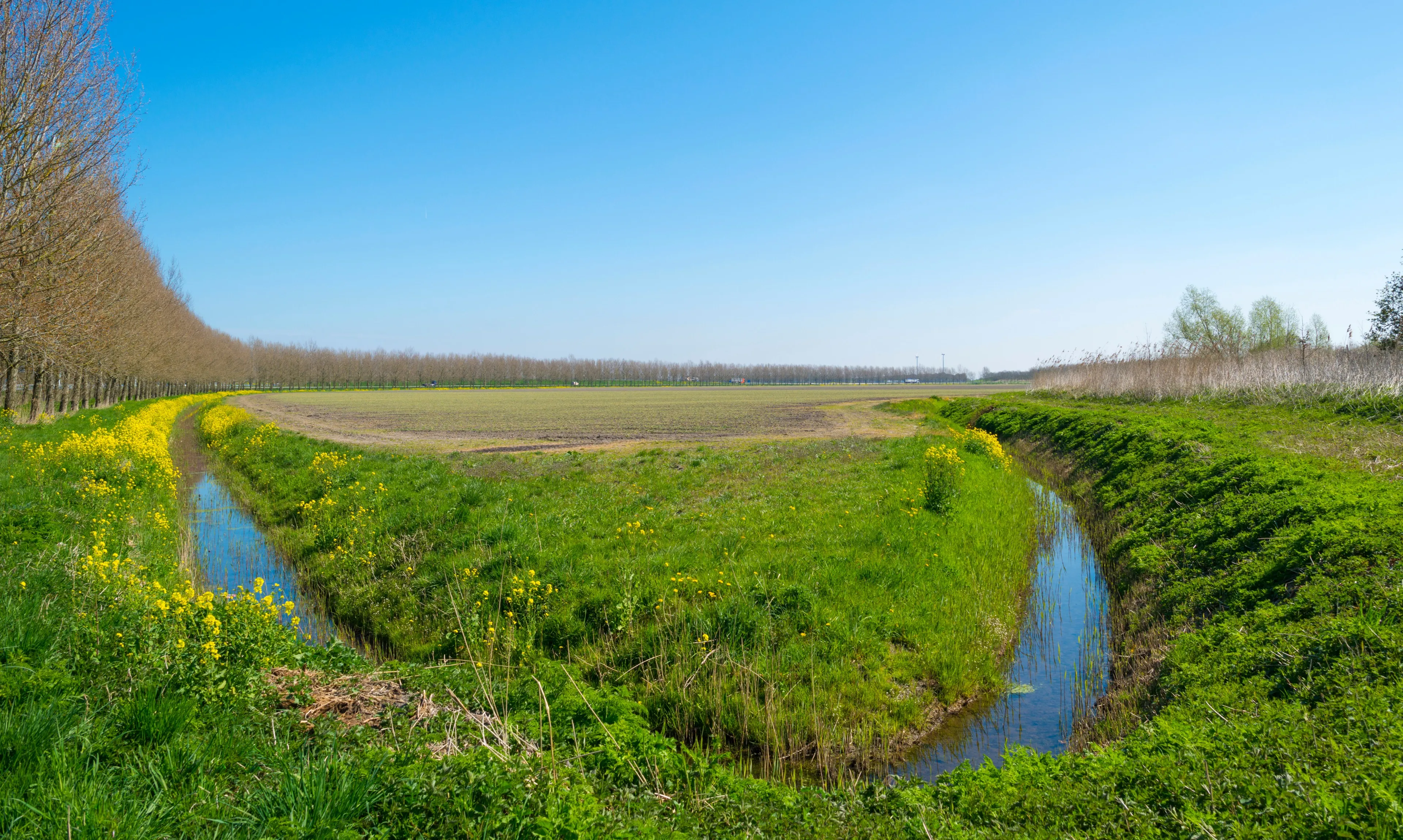 teeltvrije zone