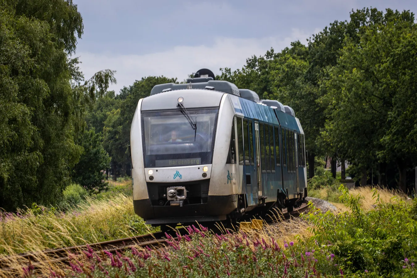 trein