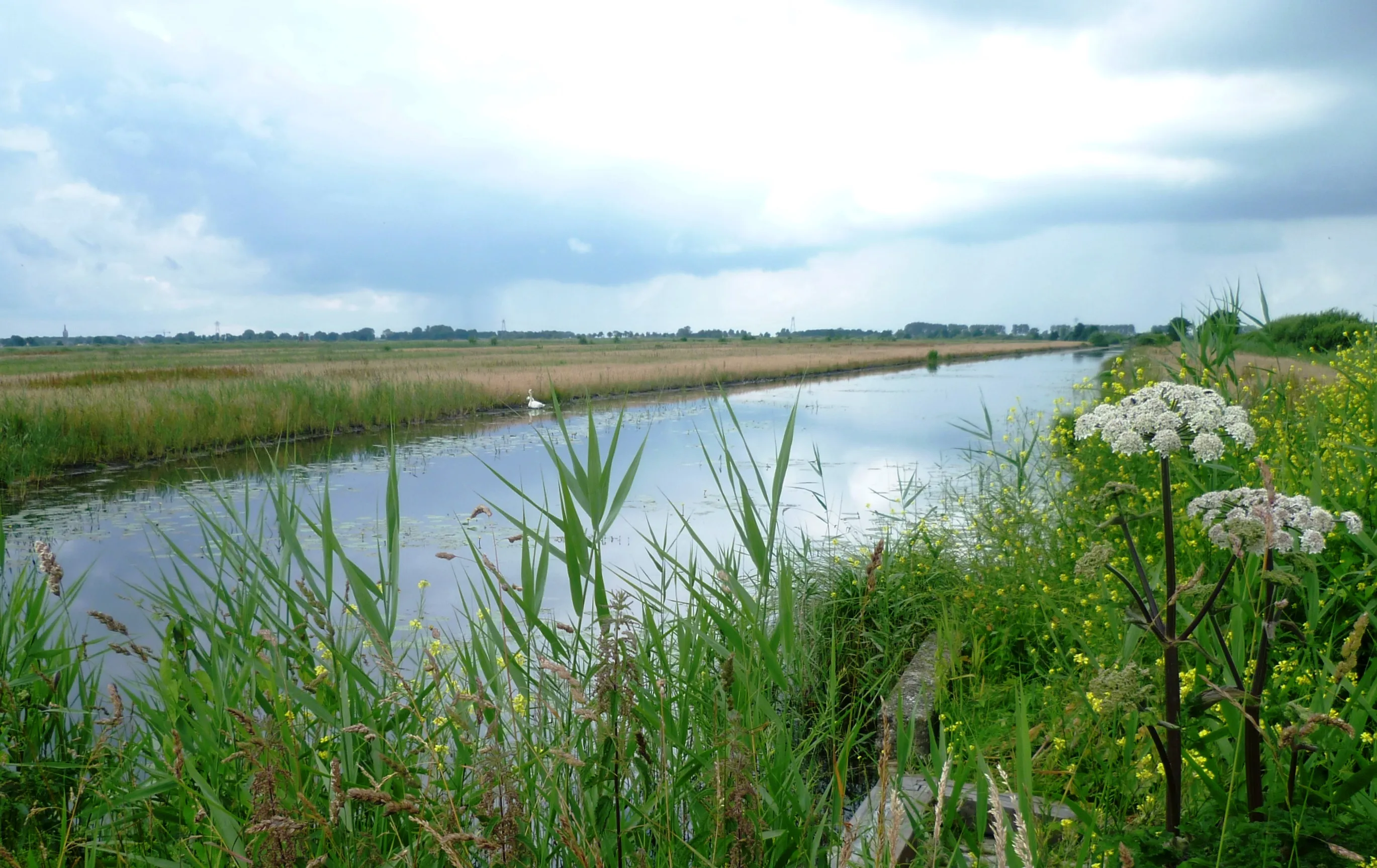 watergang landelijk gebied