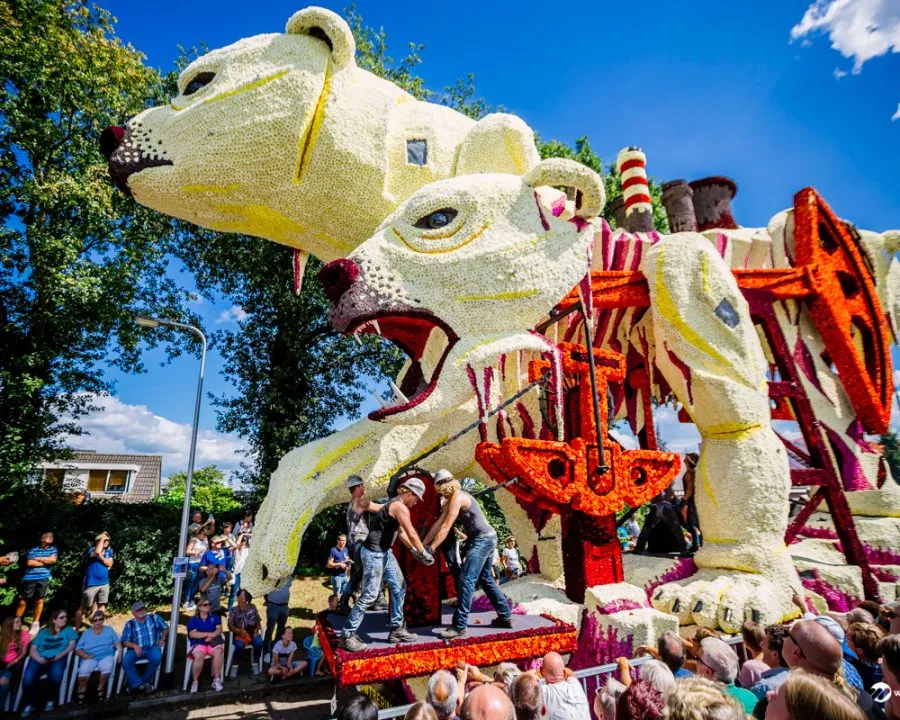 web bloemencorso 2018 wilko visscher 111 img 6240 900x720