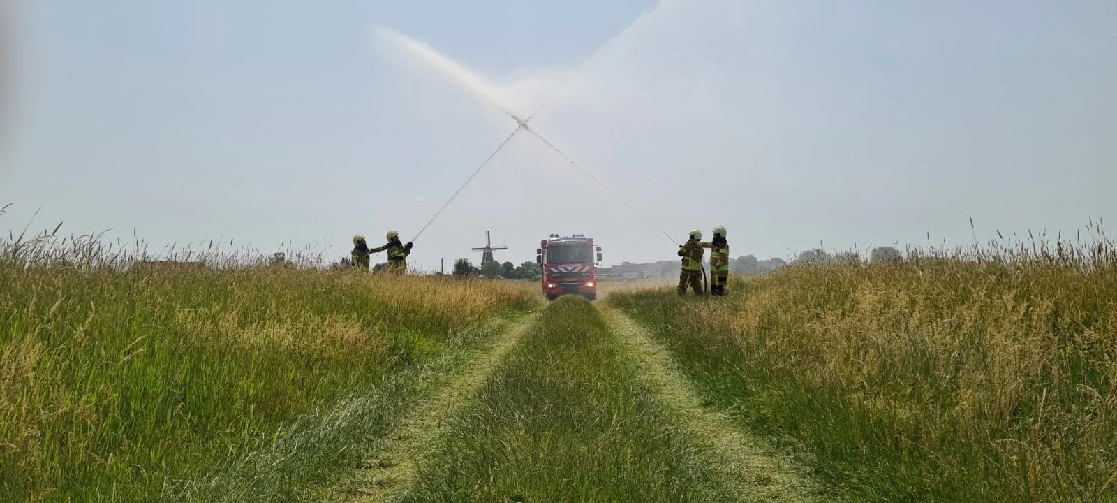 whatsapp image 2022 06 18 at 10713 pm