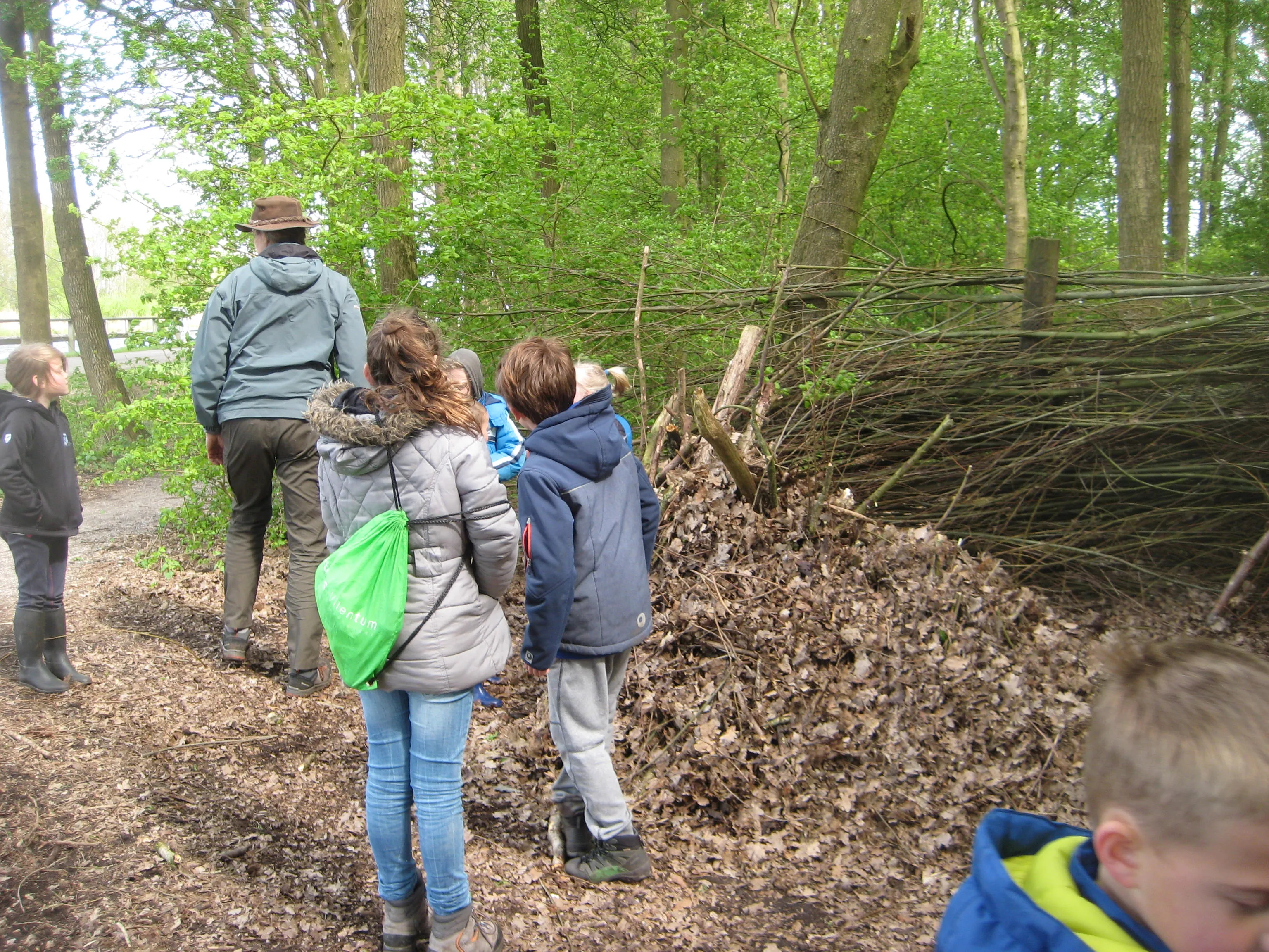 zoeken in het bos