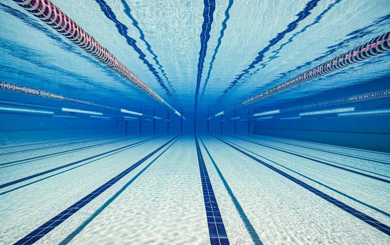 istock 2192263933